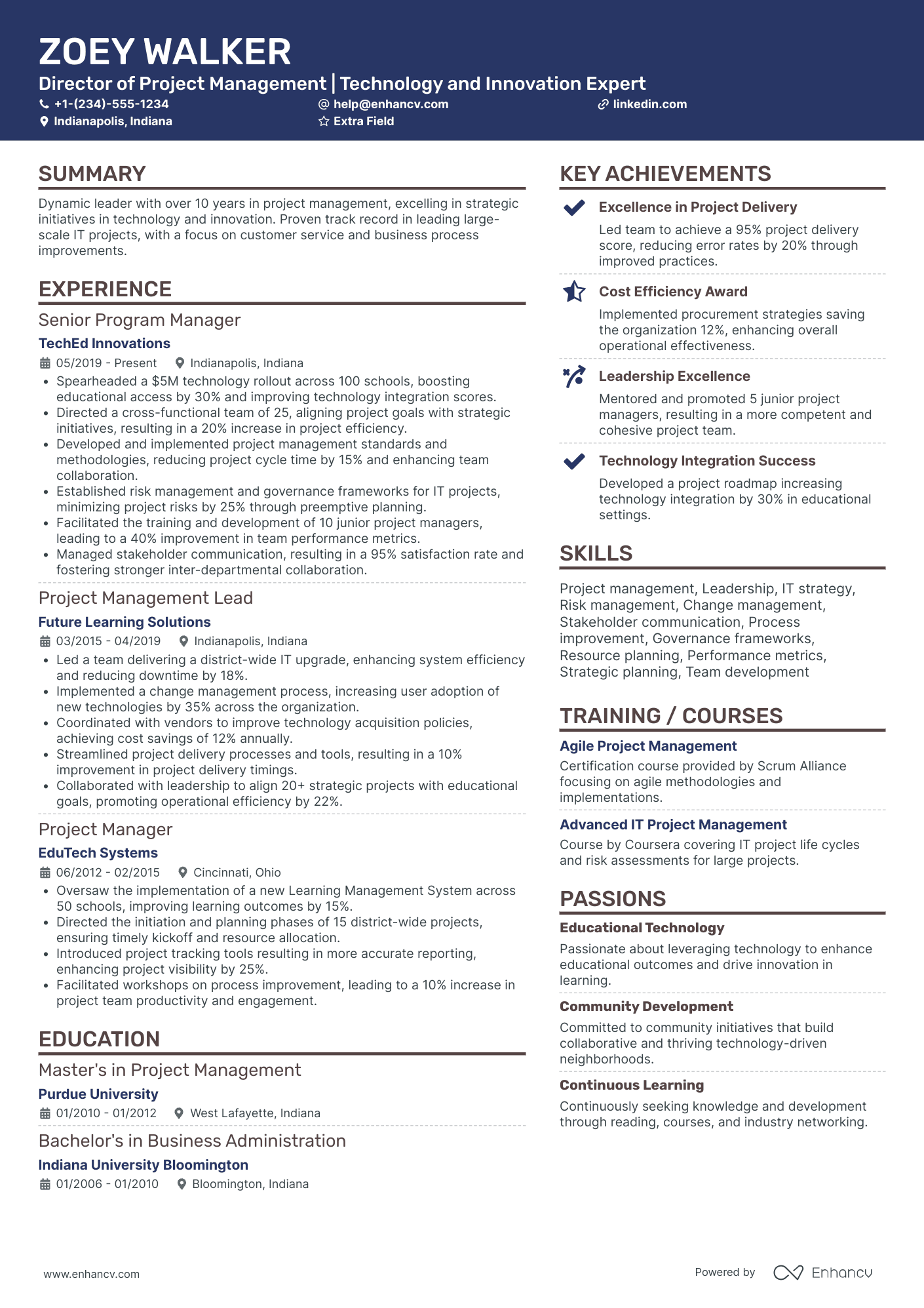 IT Director of IT Project Management Resume Example