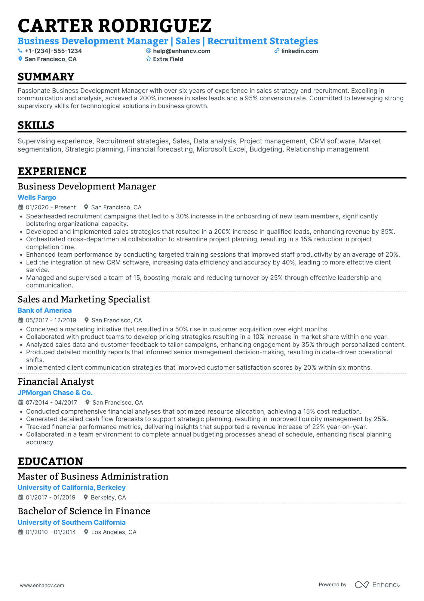 Investment Business Development Manager Resume Example