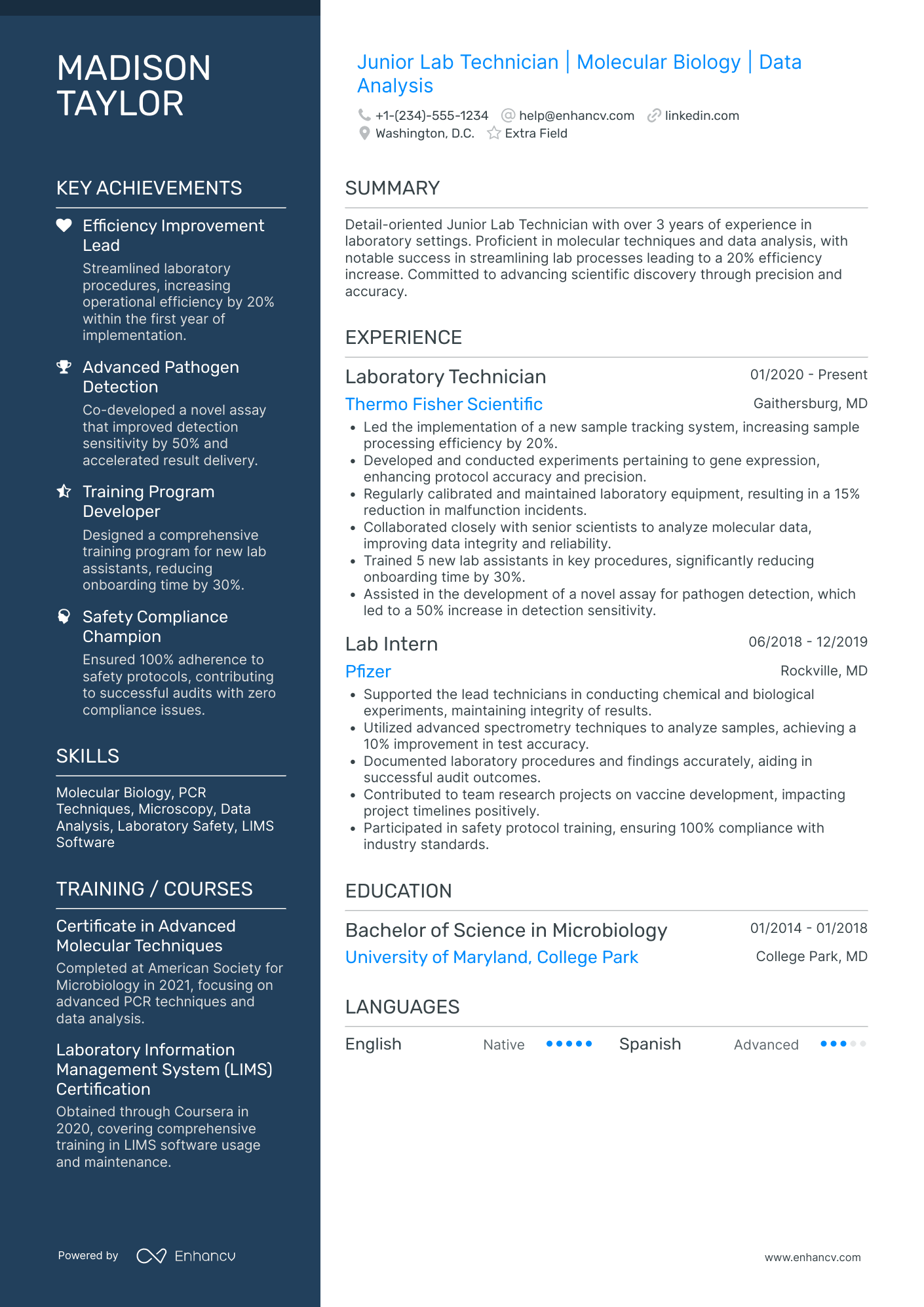 Junior Lab Technician Resume Example