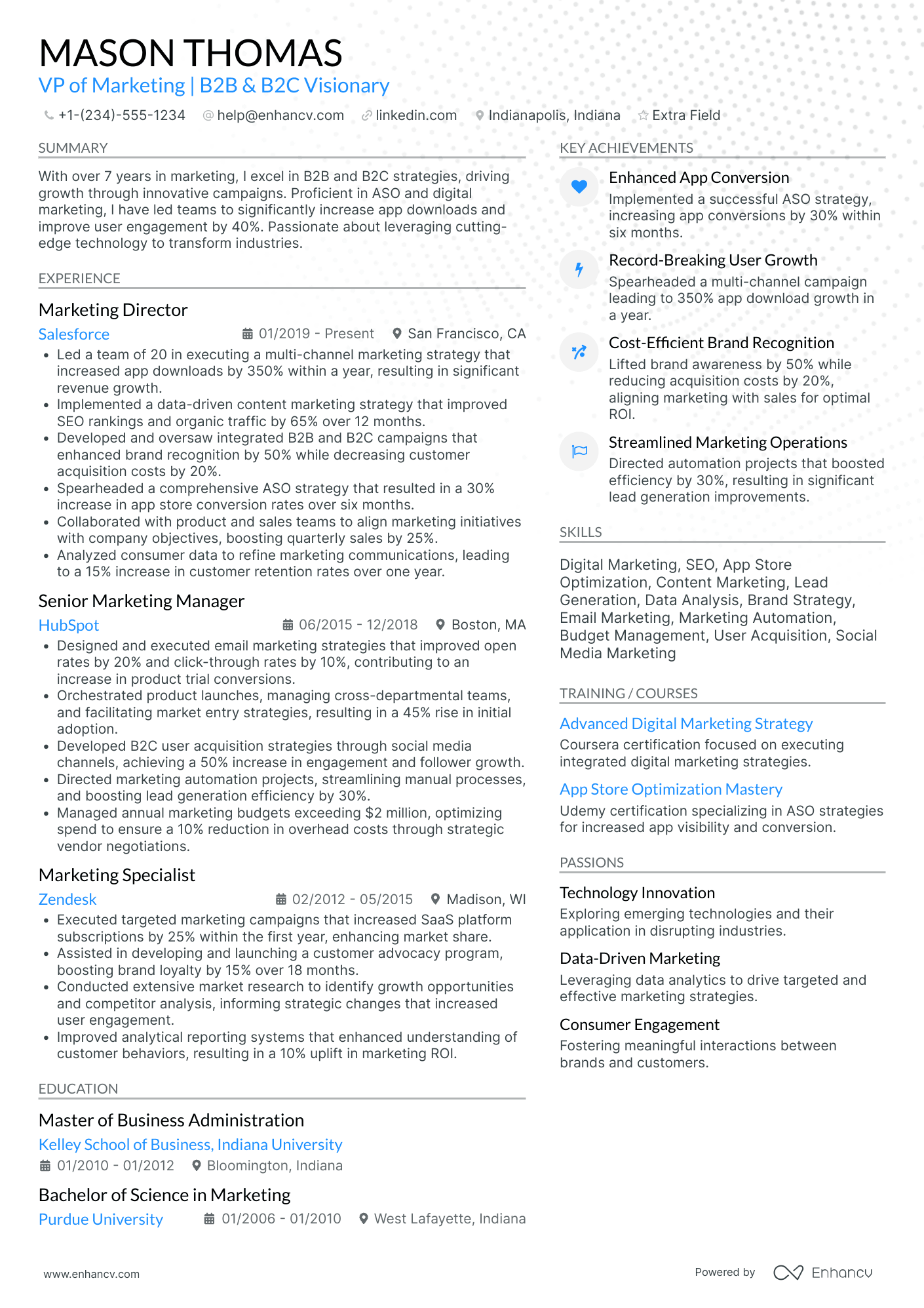 VP Digital Marketing and User Acquisition Resume Example