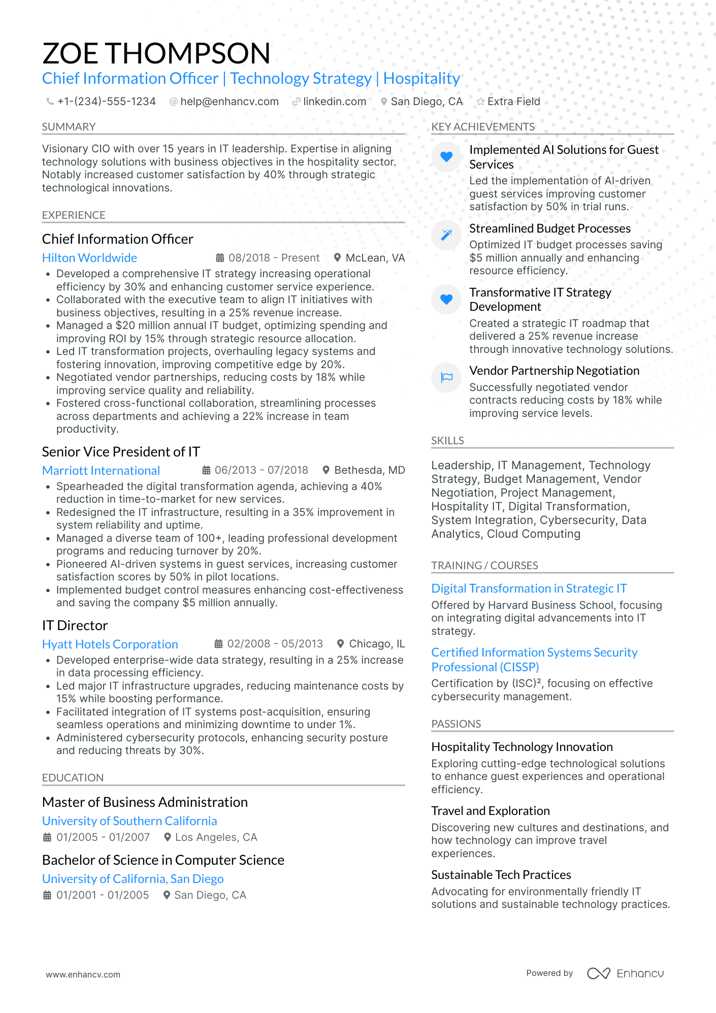 Global Chief Information Officer Resume Example