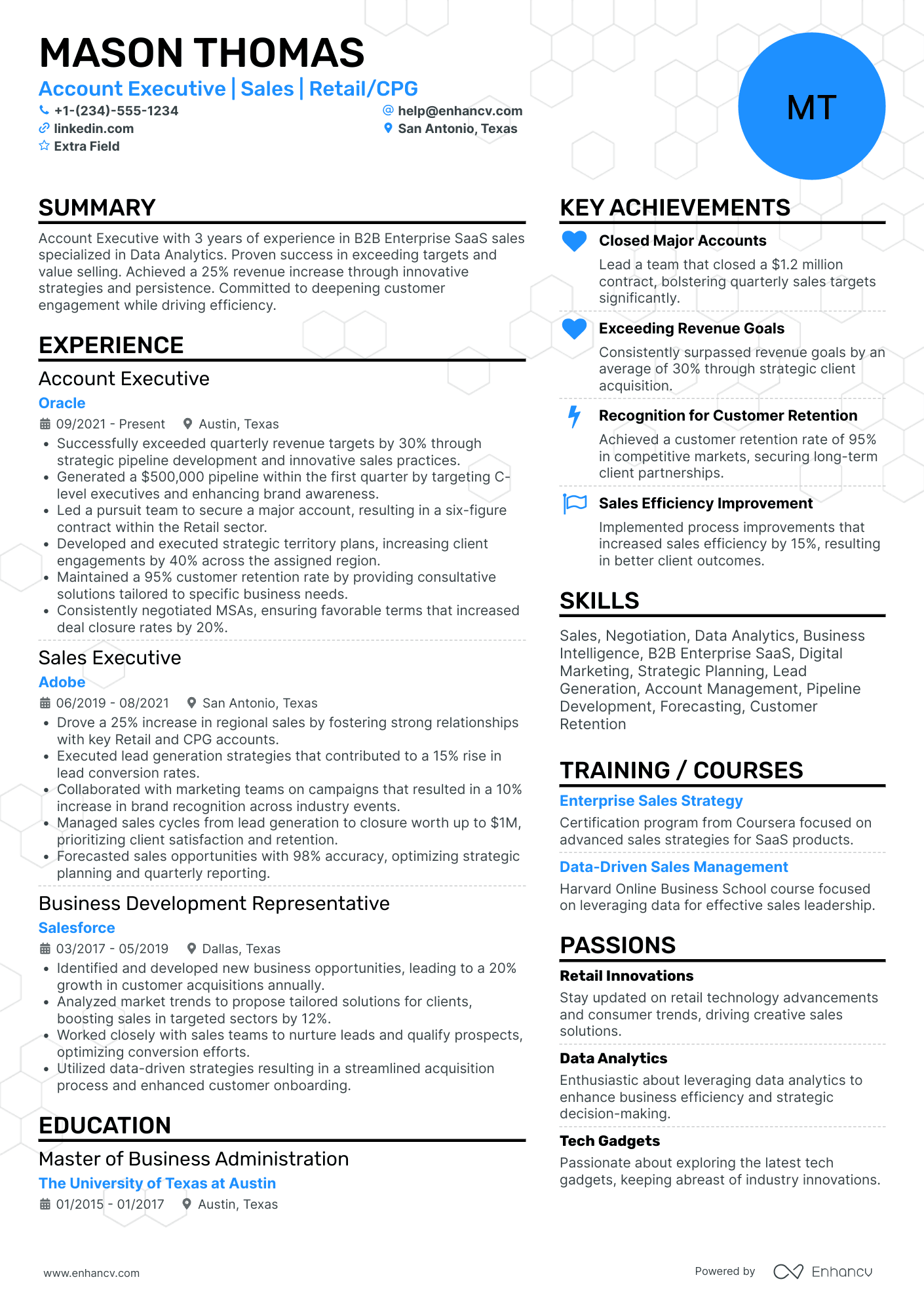 Retail Account Executive Resume Example