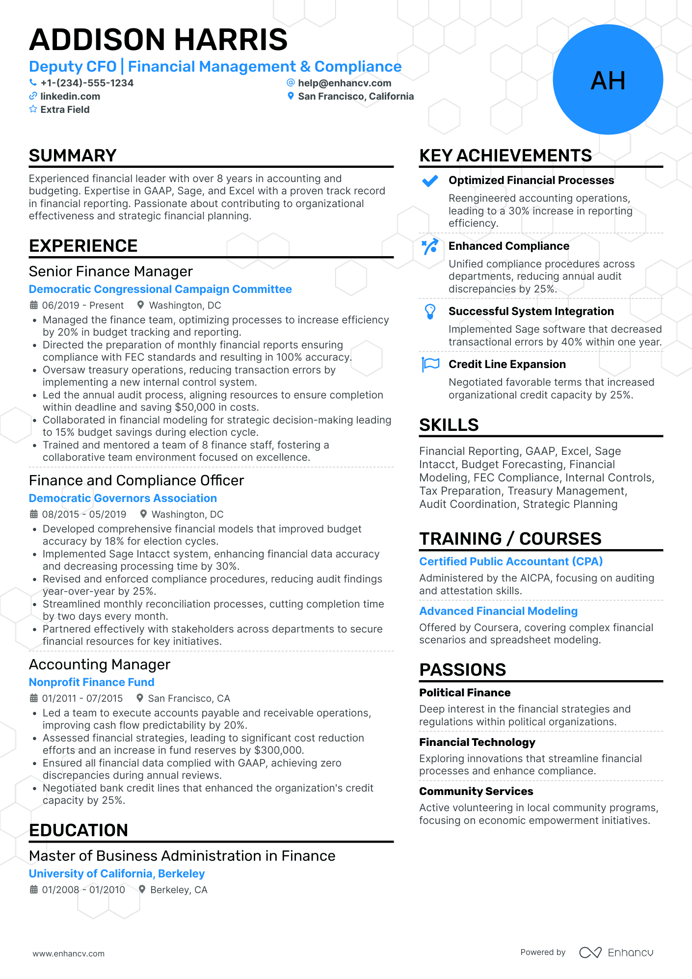 Deputy Chief Financial Officer Resume Example