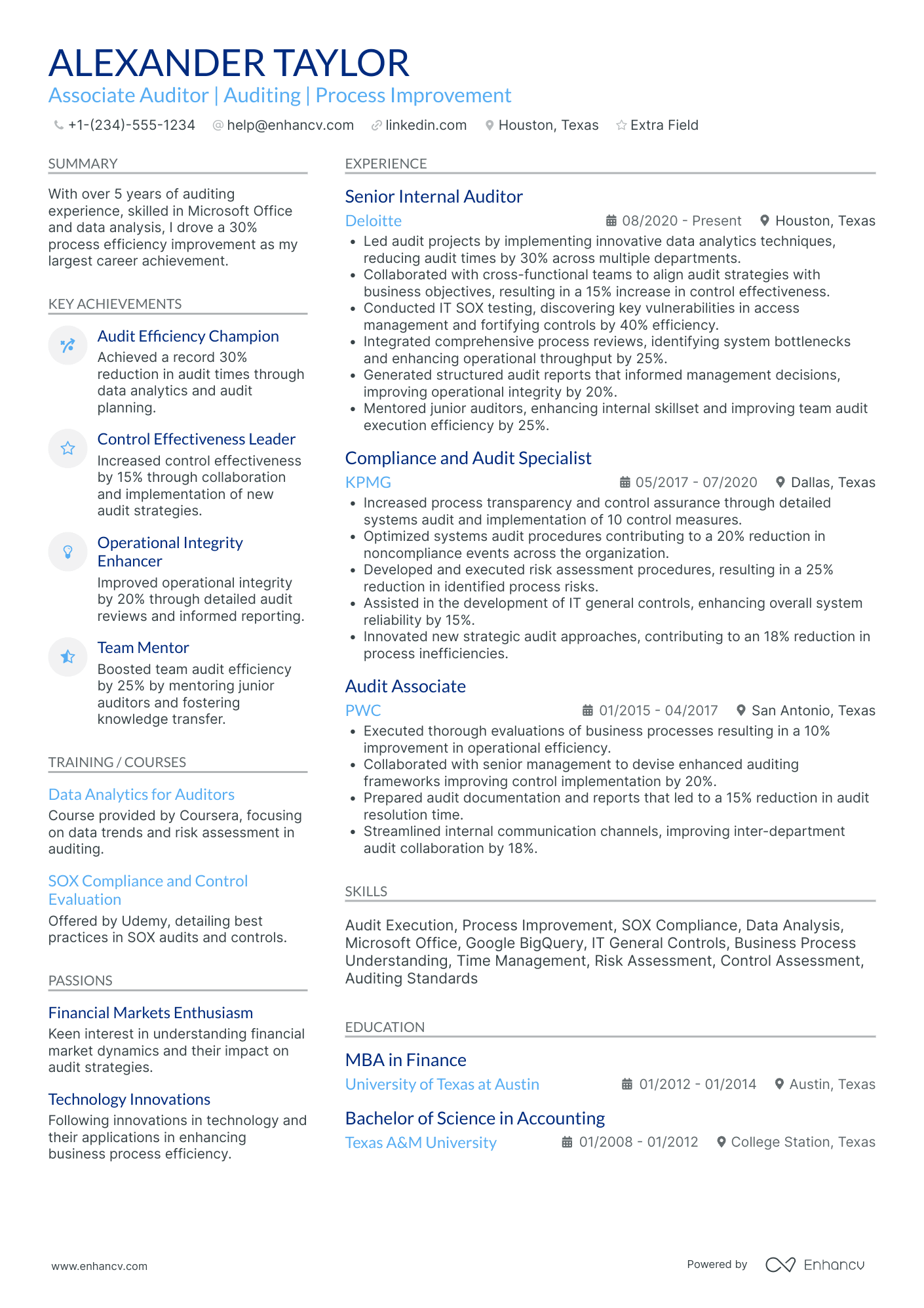 IT Audit Associate Resume Example