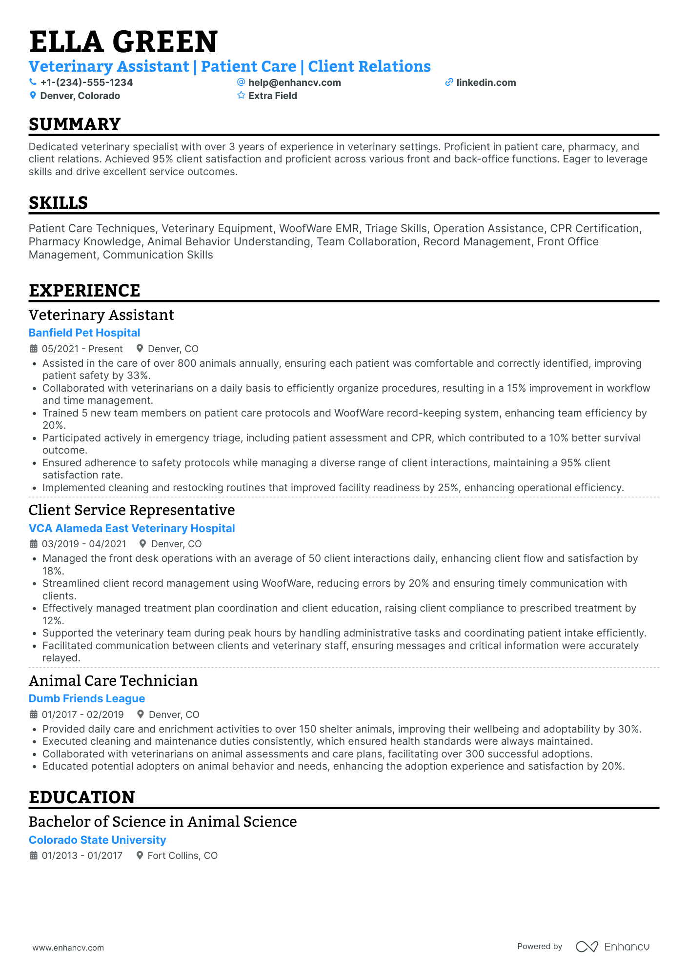 Emergency Room Doctor Resume Example