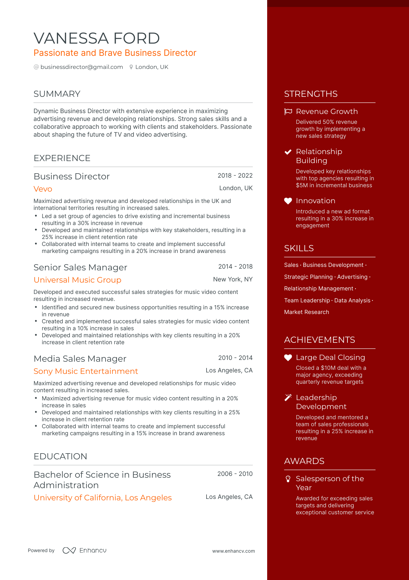 Business Director Resume Example