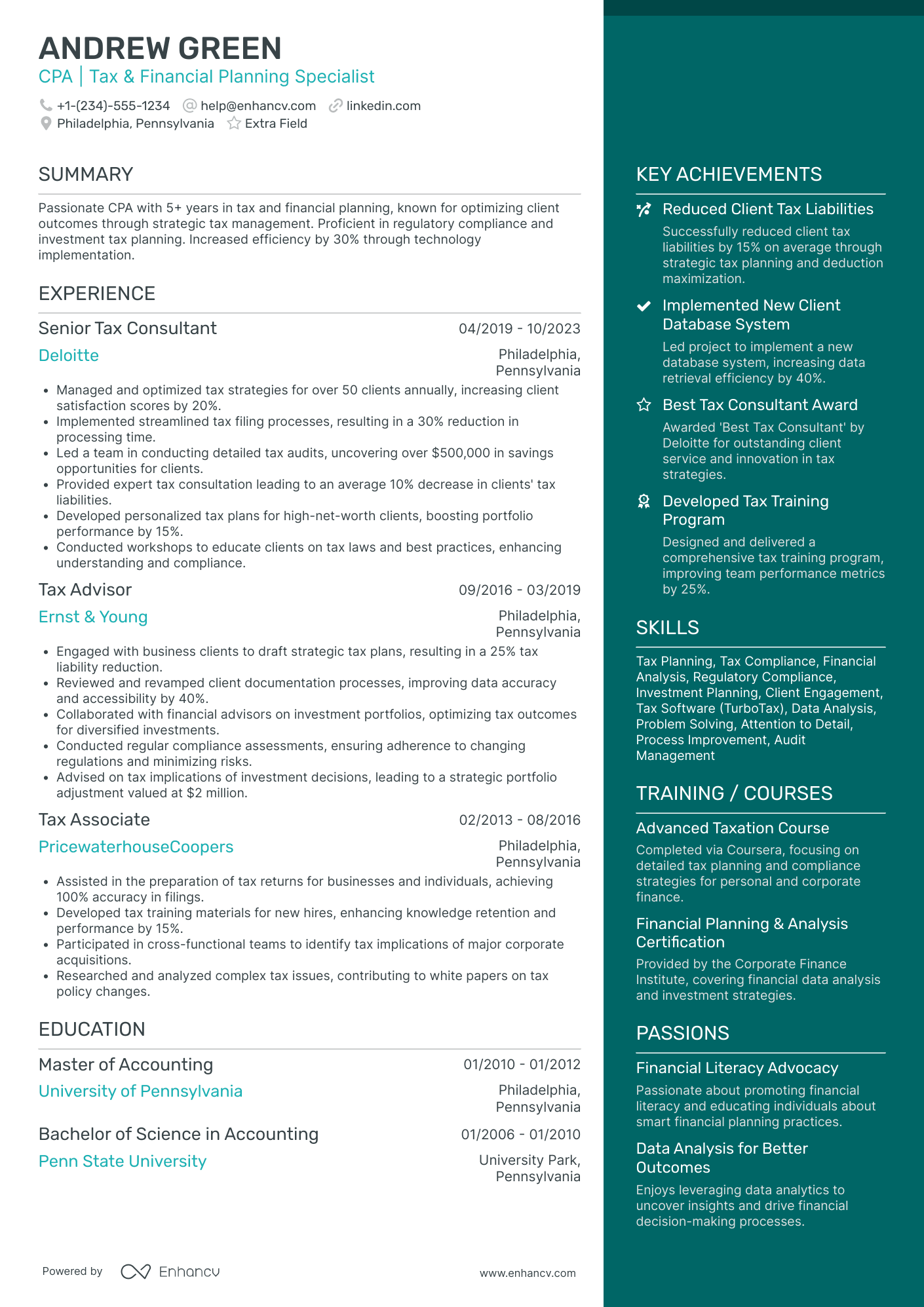 CPA Consultant Resume Example