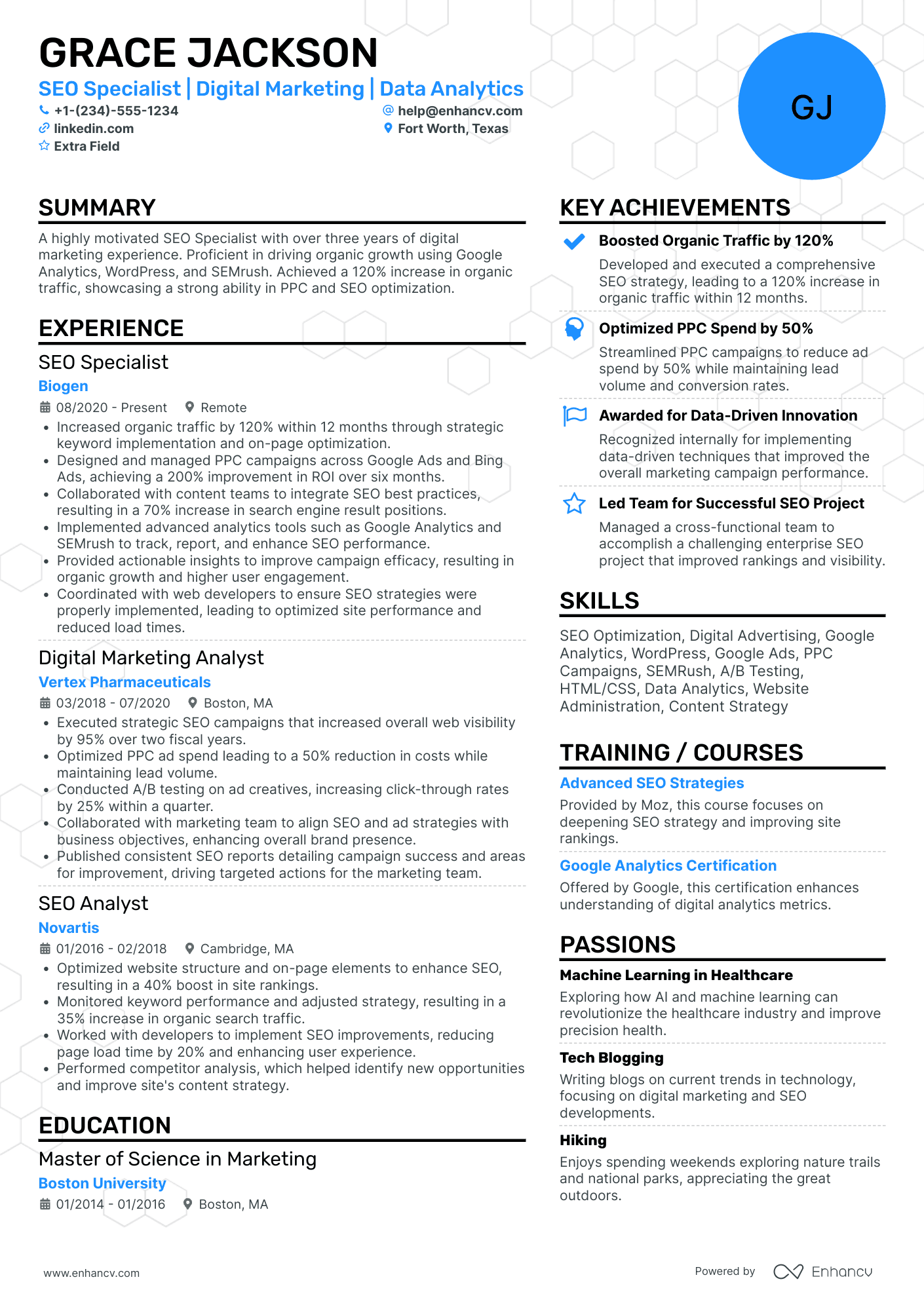 SEO Analytics Specialist Resume Example