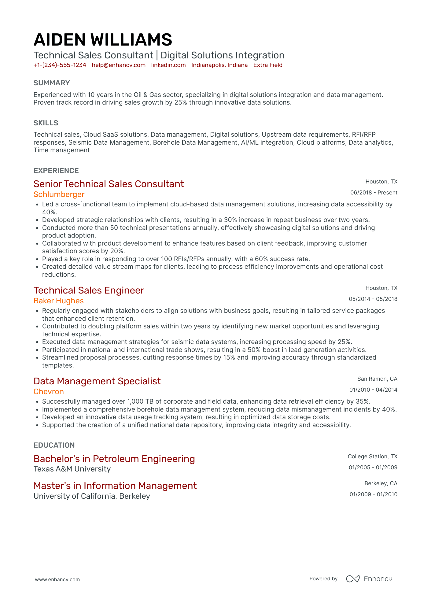 Software Sales Consultant Resume Example