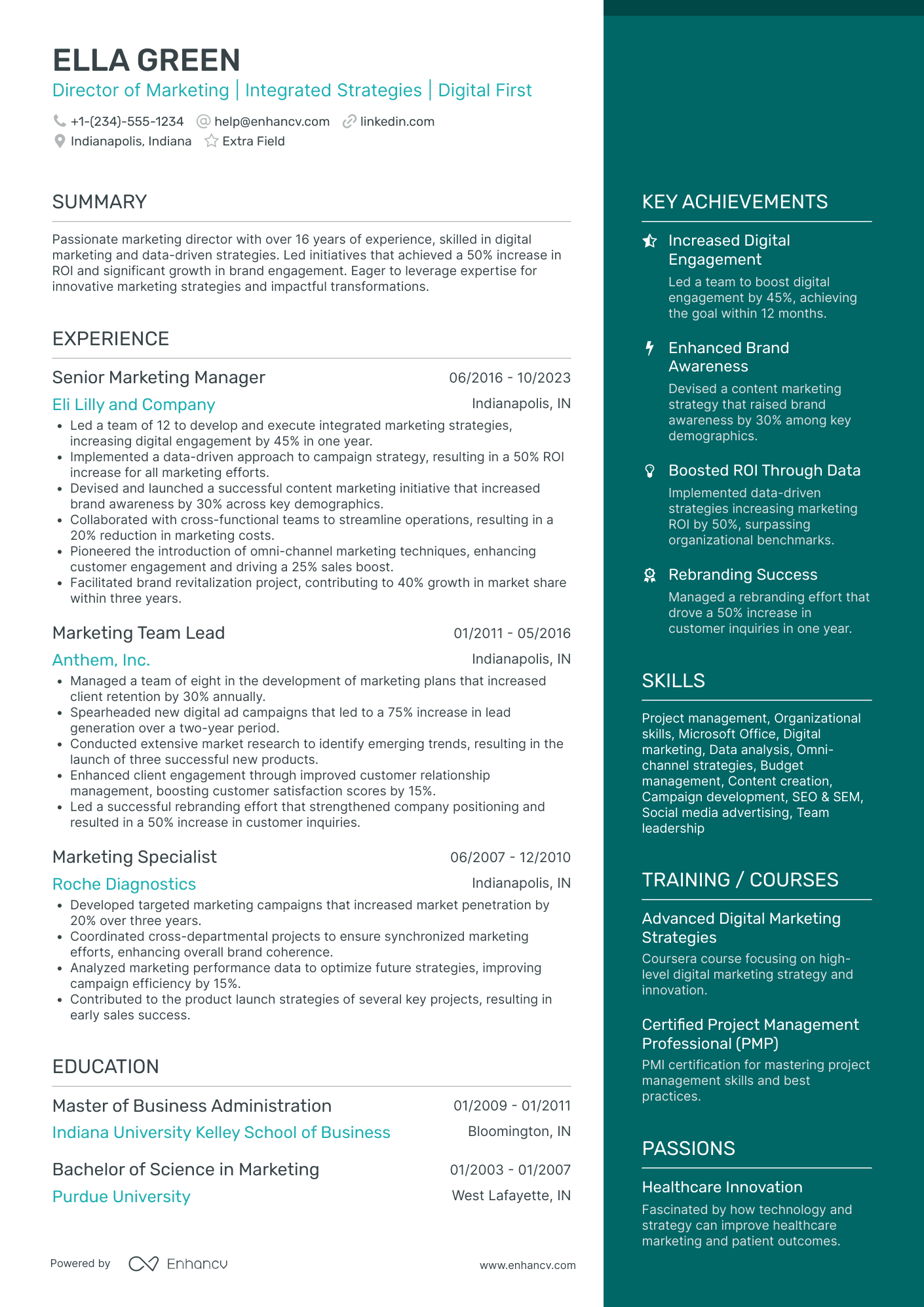 Content Marketing Director Resume Example