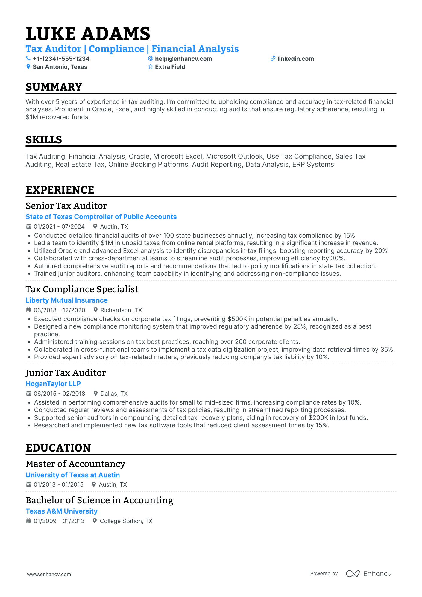 Tax Auditor Resume Example