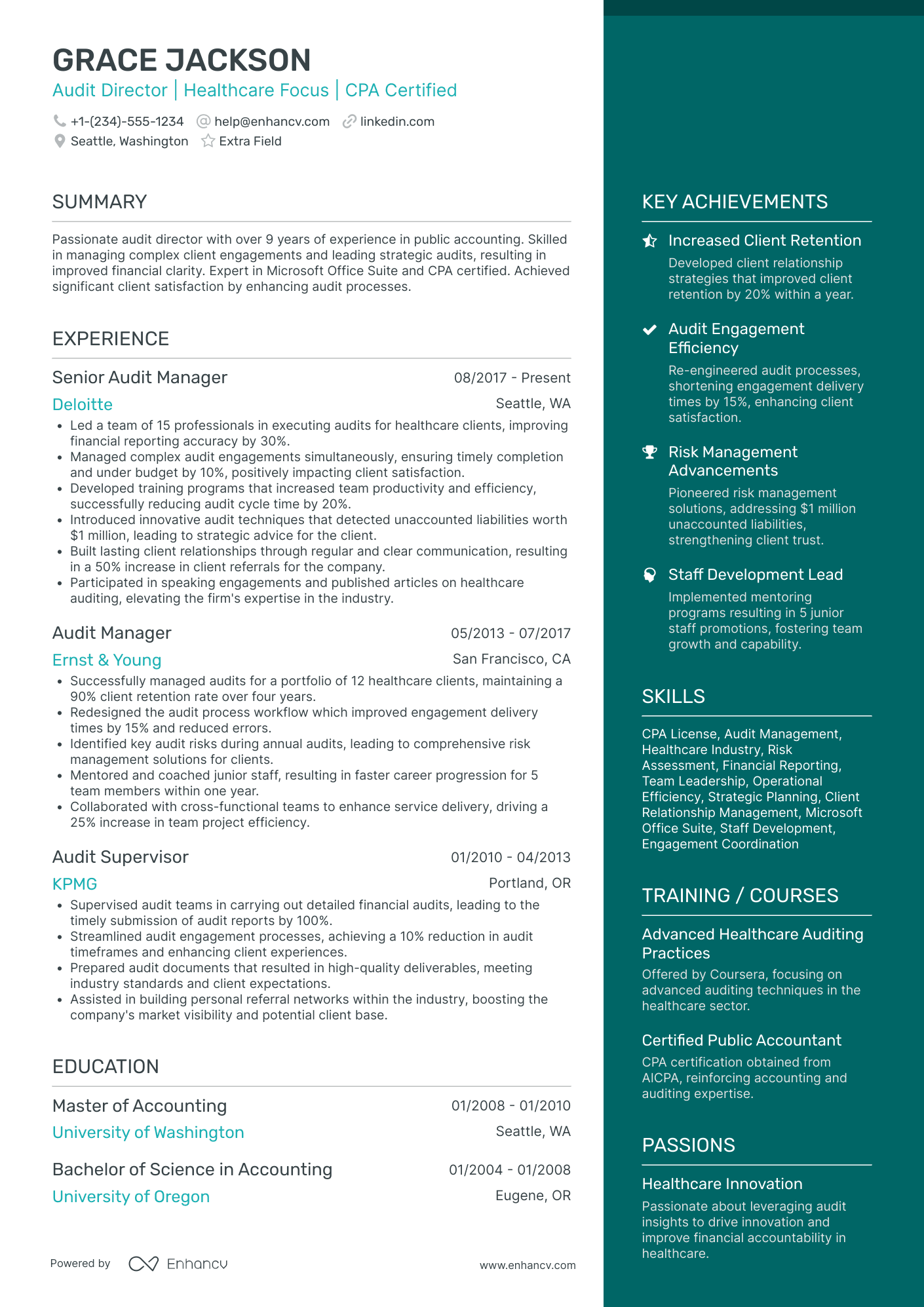 Healthcare Auditor Resume Example