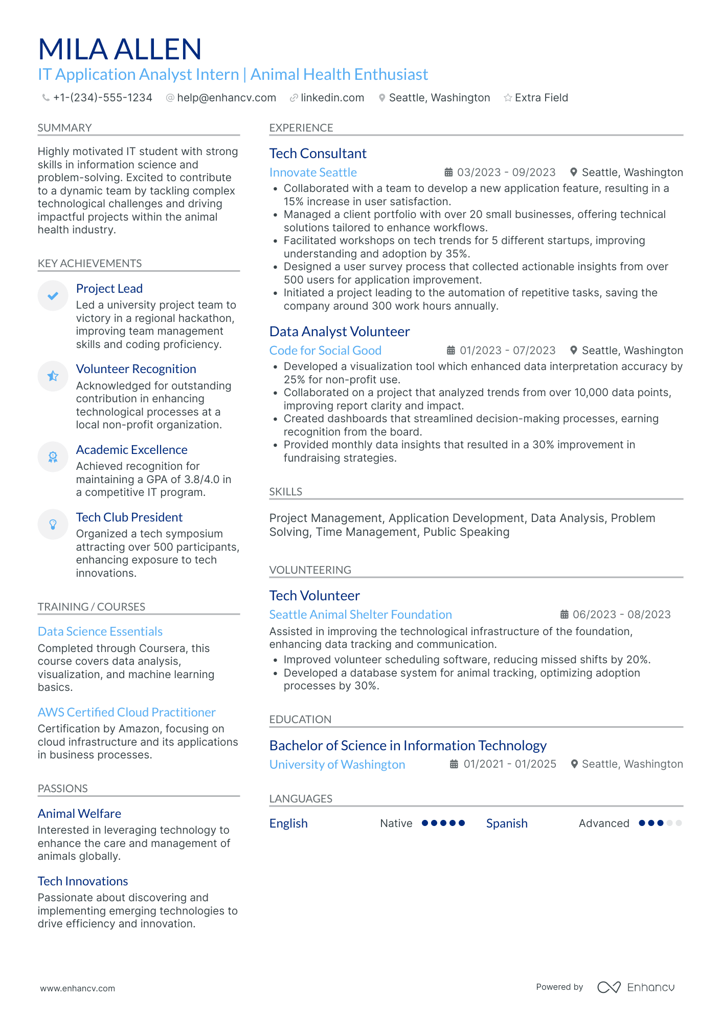 IT Application Support Intern Resume Example