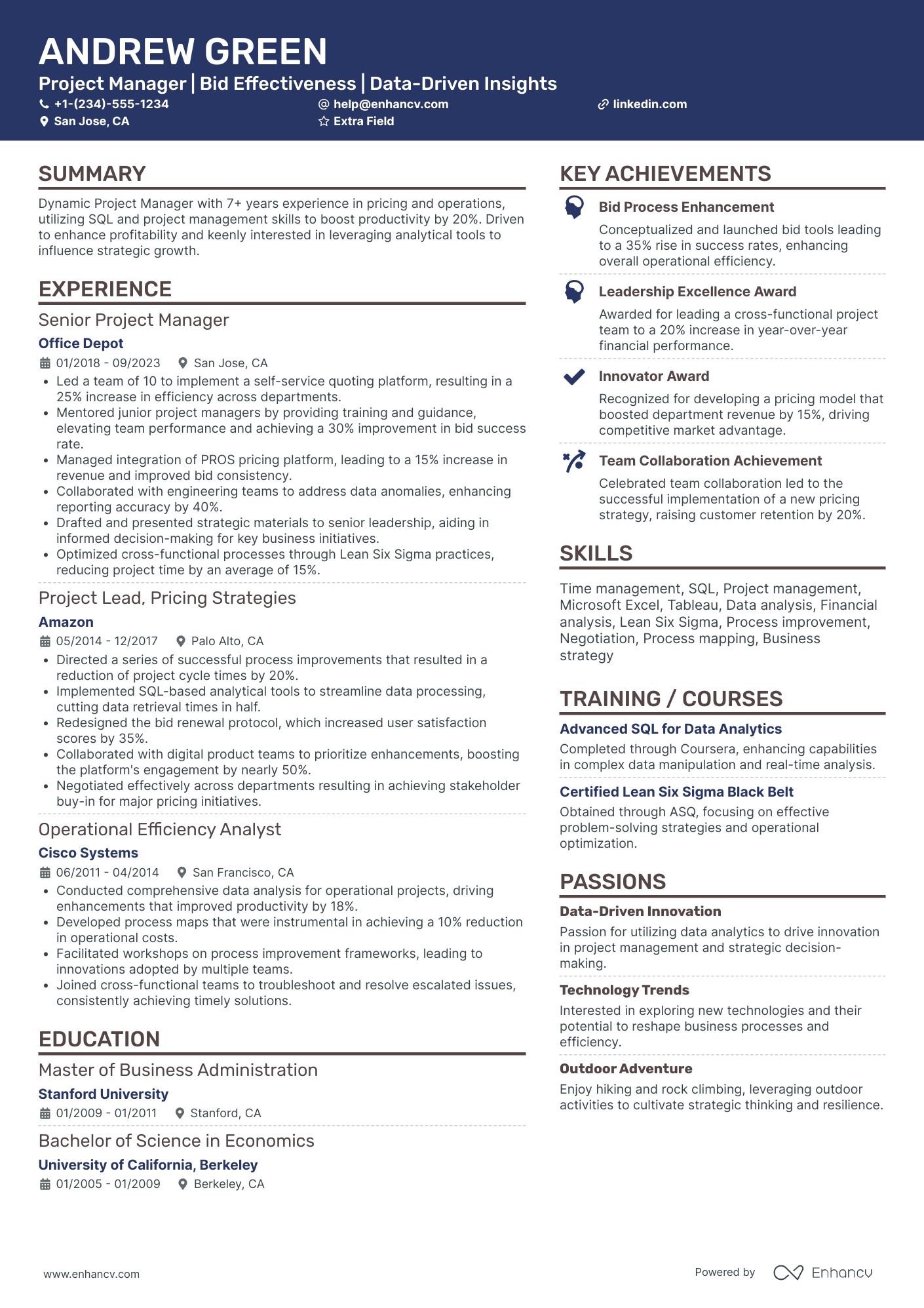 IT Bid Manager Resume Example