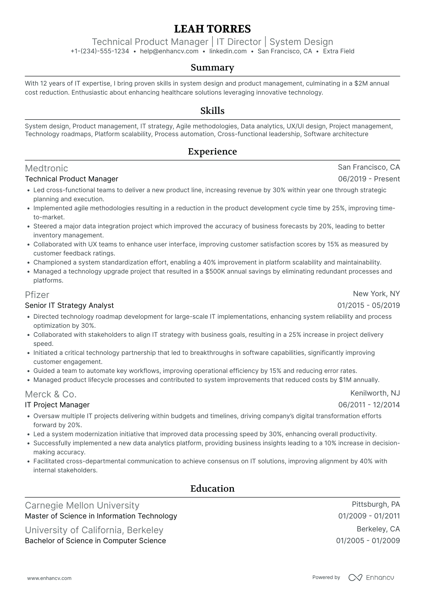 IT Director of IT Governance Resume Example