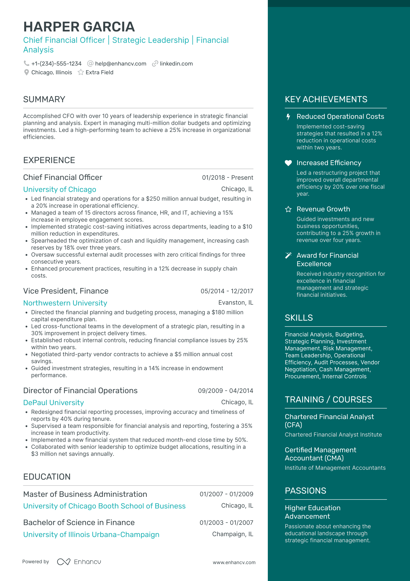 Chief Finance Officer Resume Example