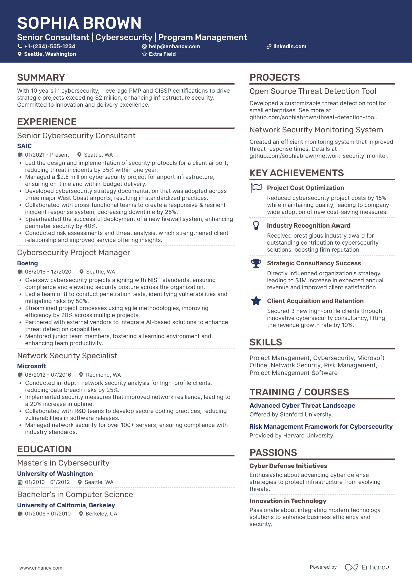 Ethical Hacker Consultant Resume Example