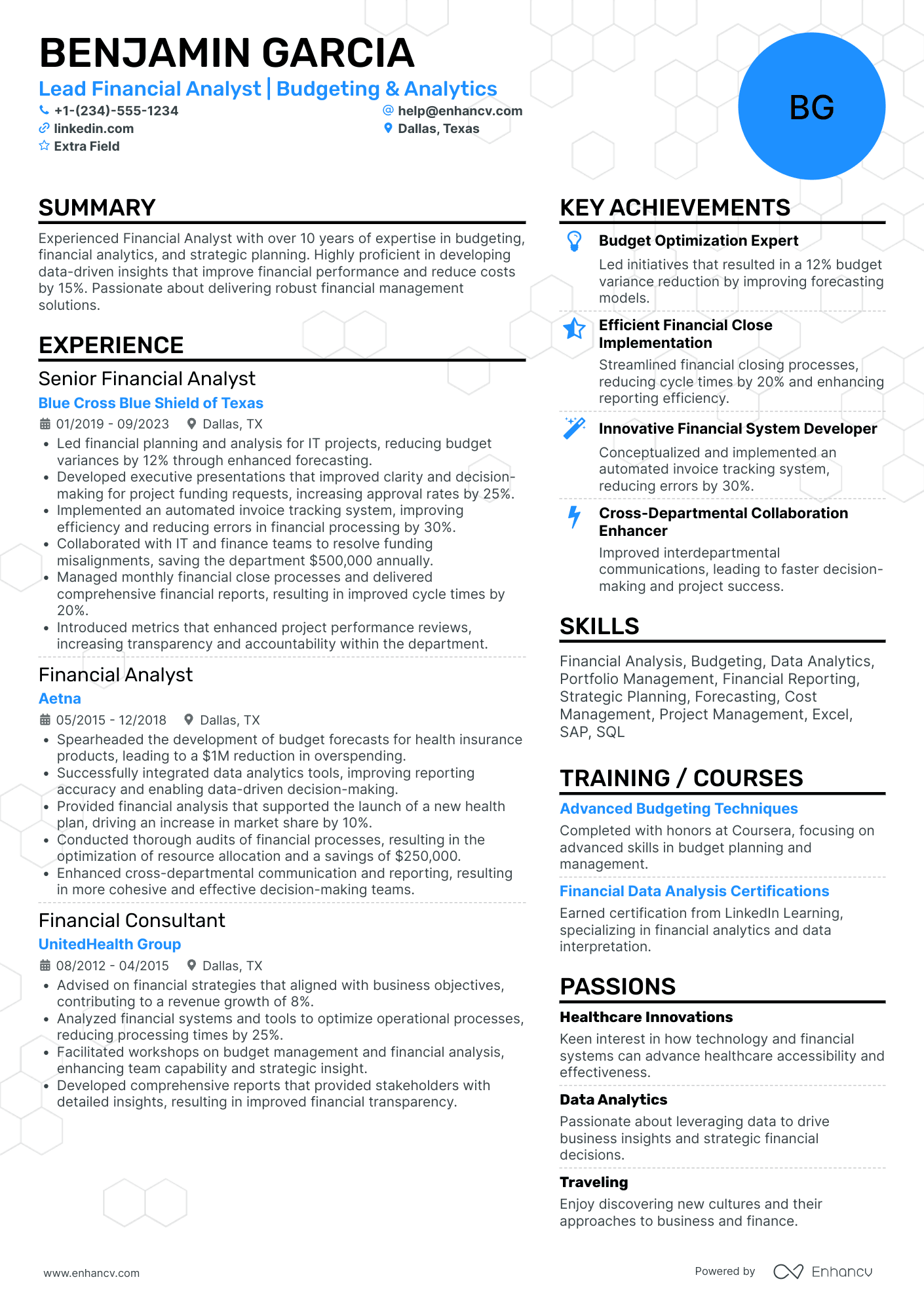 Lead Financial Analyst Resume Example