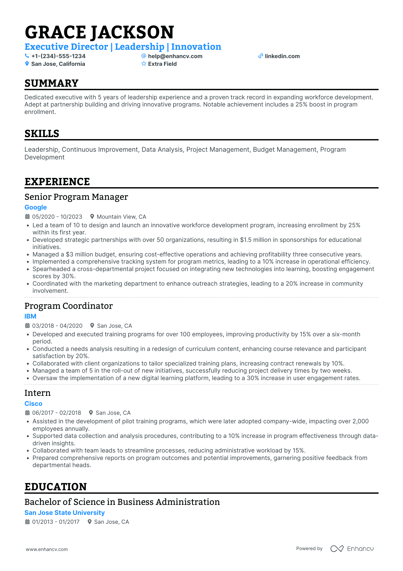 Junior Executive Director Resume Example