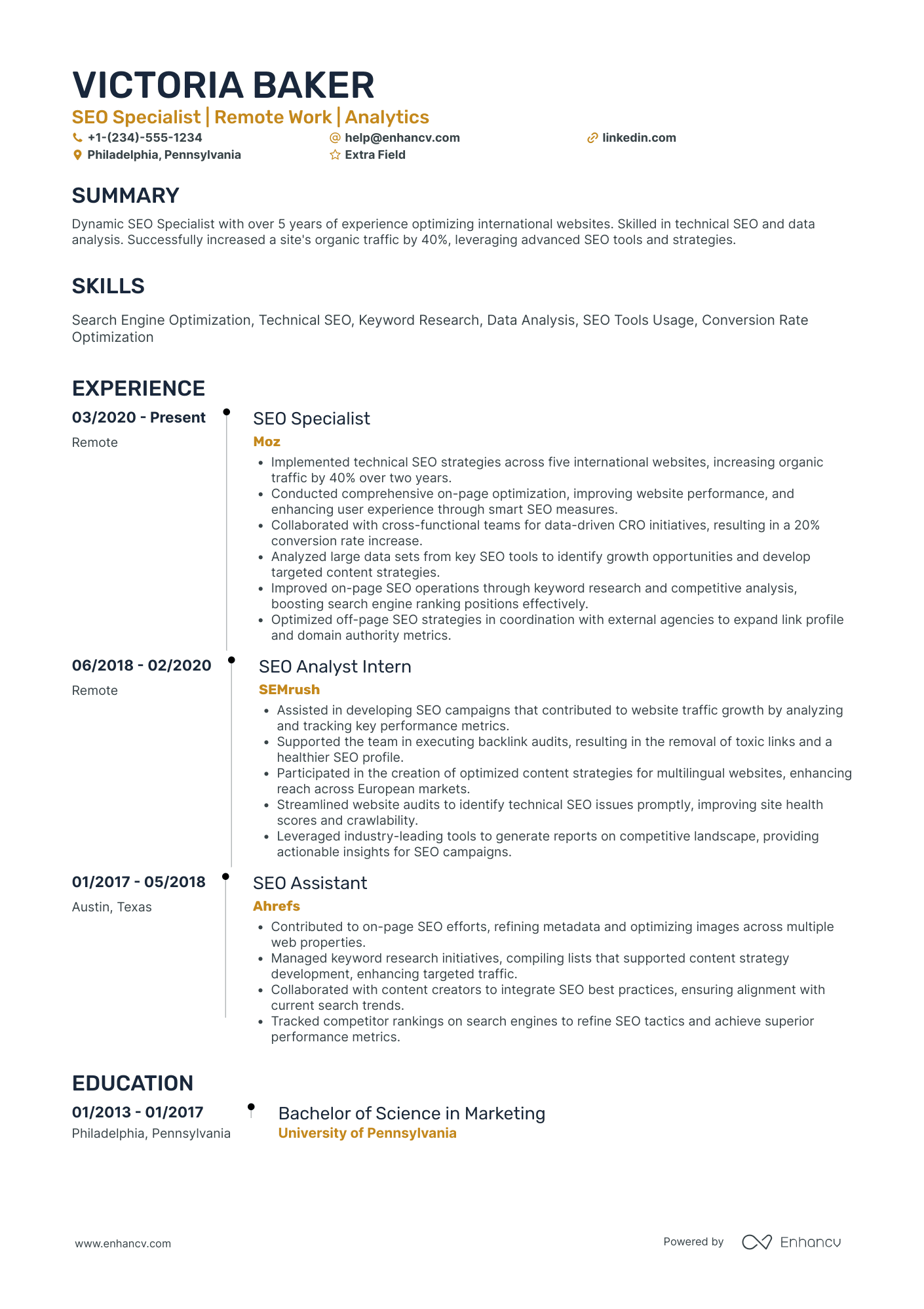 Junior SEO Specialist Resume Example