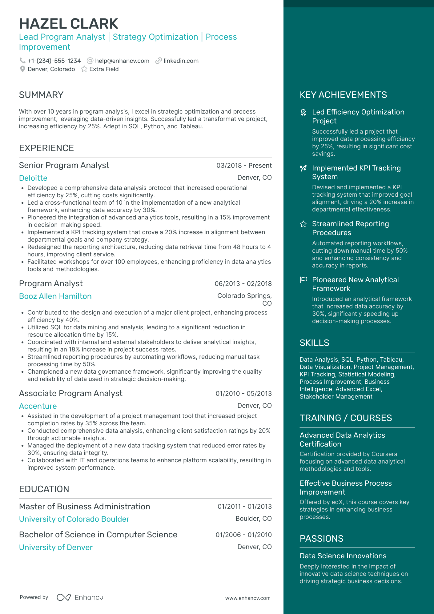 Lead Program Analyst Resume Example