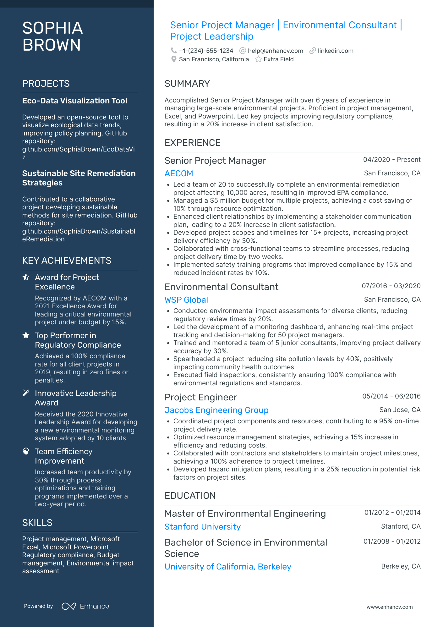 Project Manager Consultant Resume Example