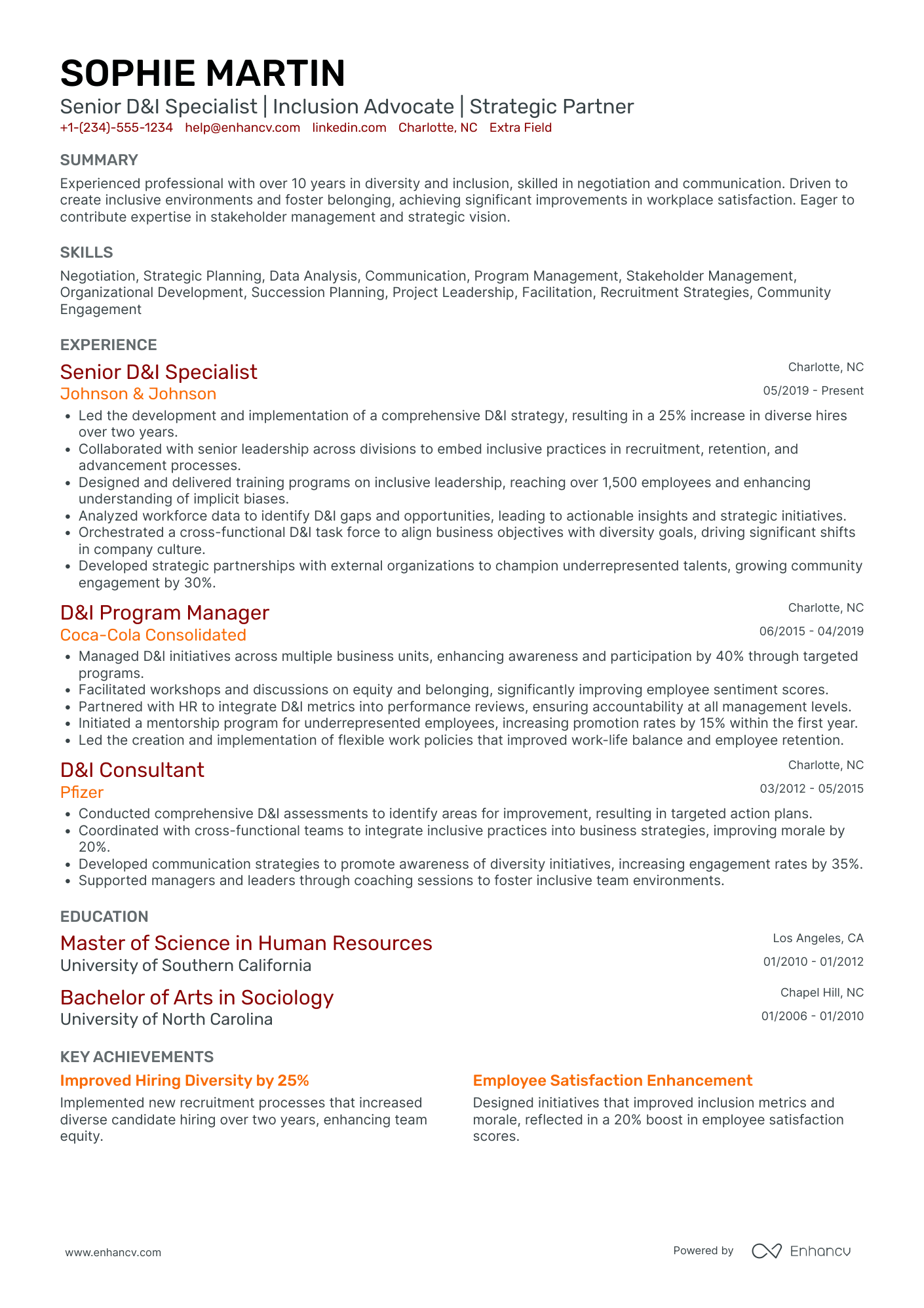 Global Diversity and Inclusion Manager Resume Example