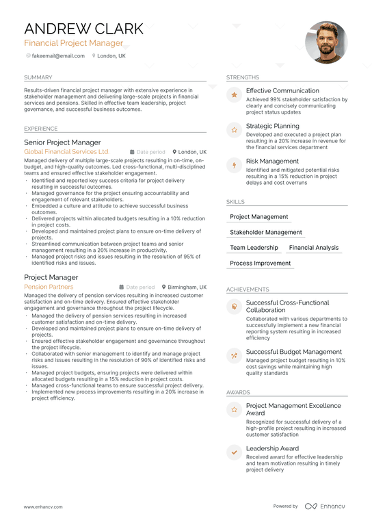 Financial Project Manager Resume Example