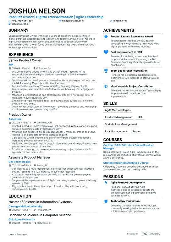 Digital Product Manager Resume Example
