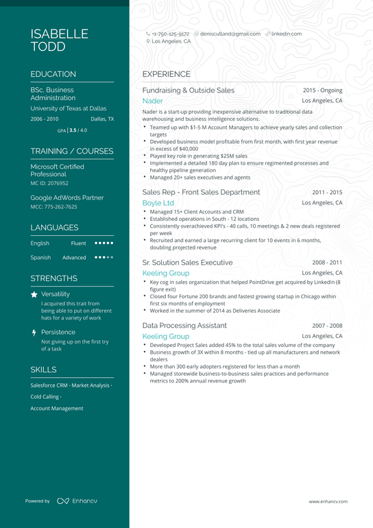 Outside Sales Resume Example