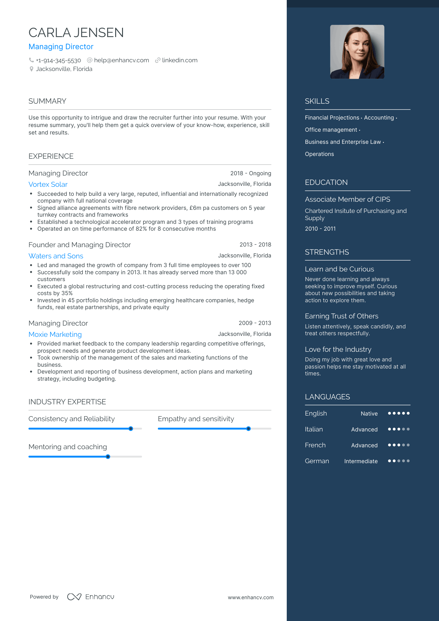 Managing Director Resume Example