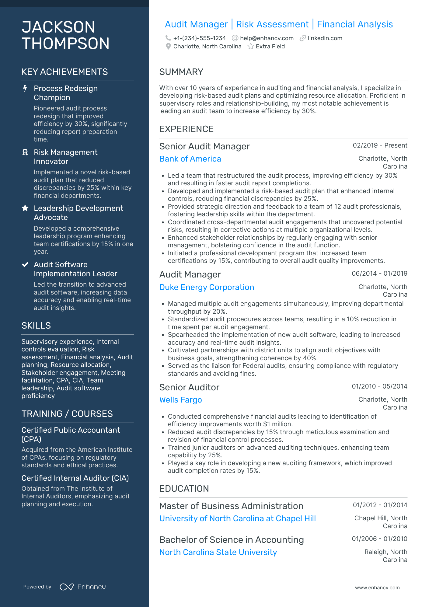 Bank Audit Manager Resume Example