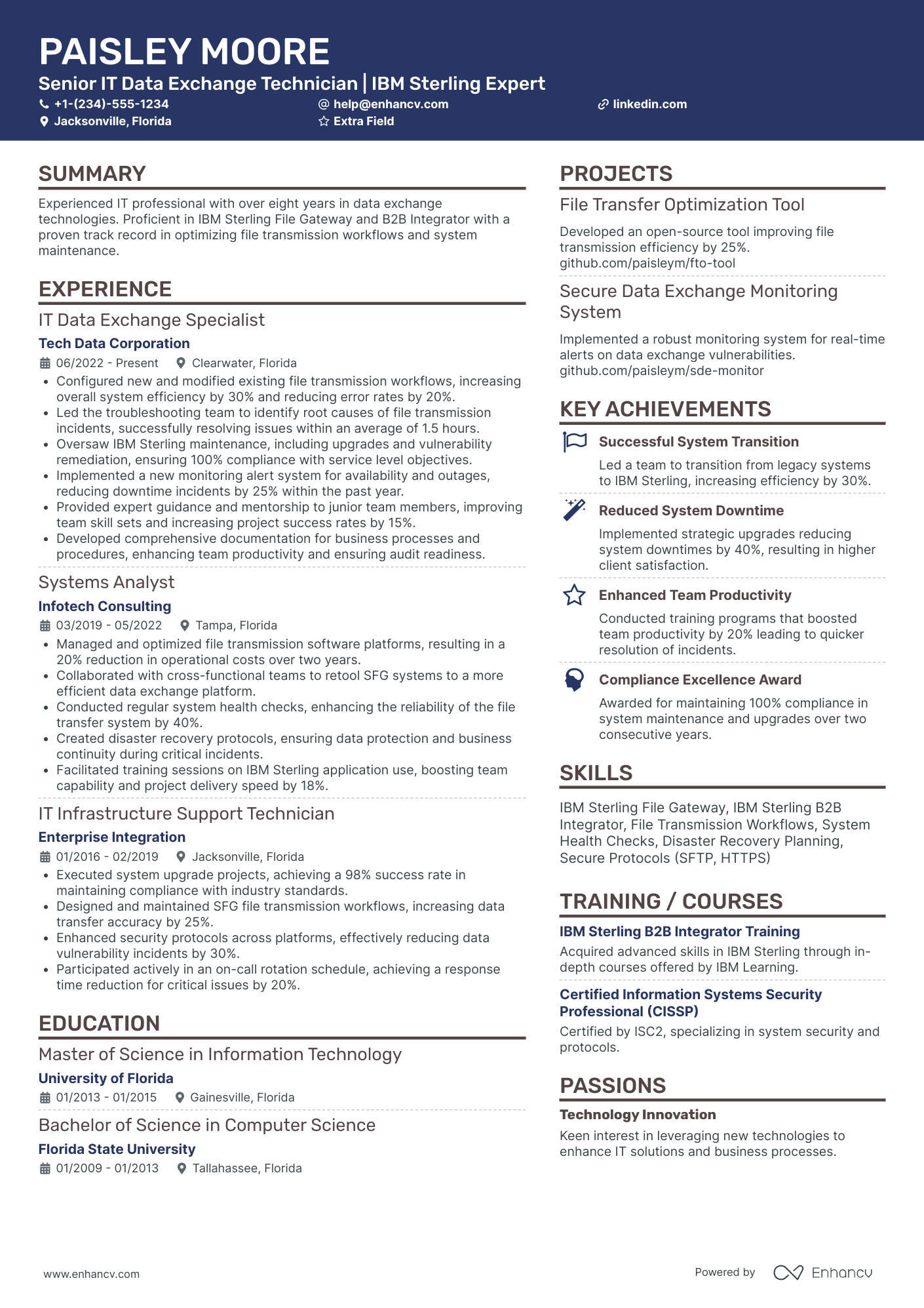 Senior IT Technician Resume Example