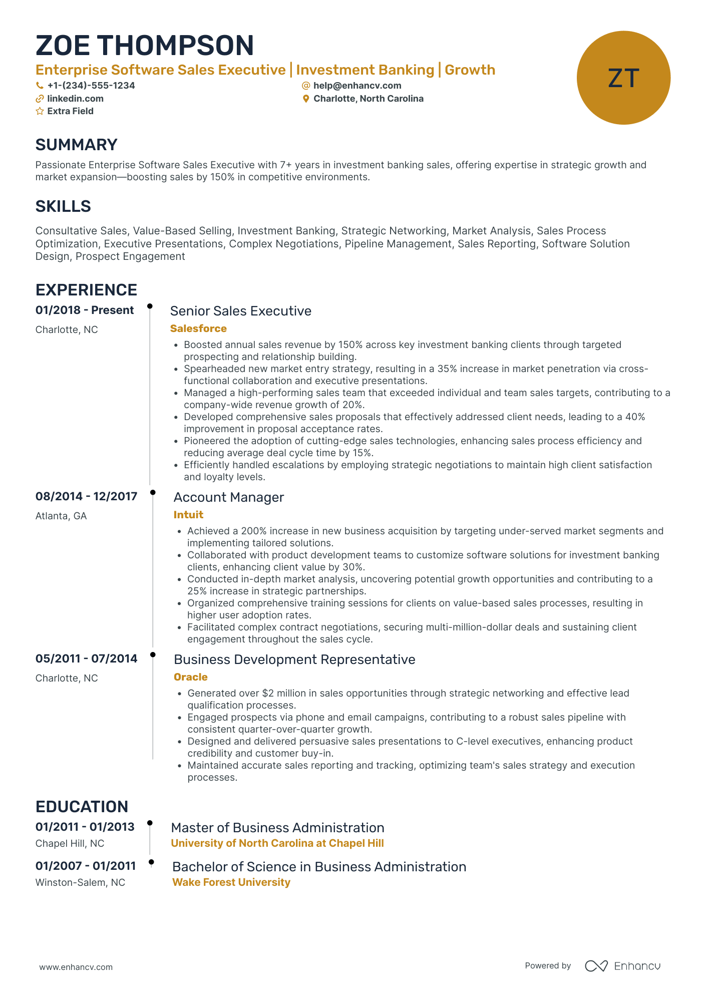 Software Sales Executive Resume Example