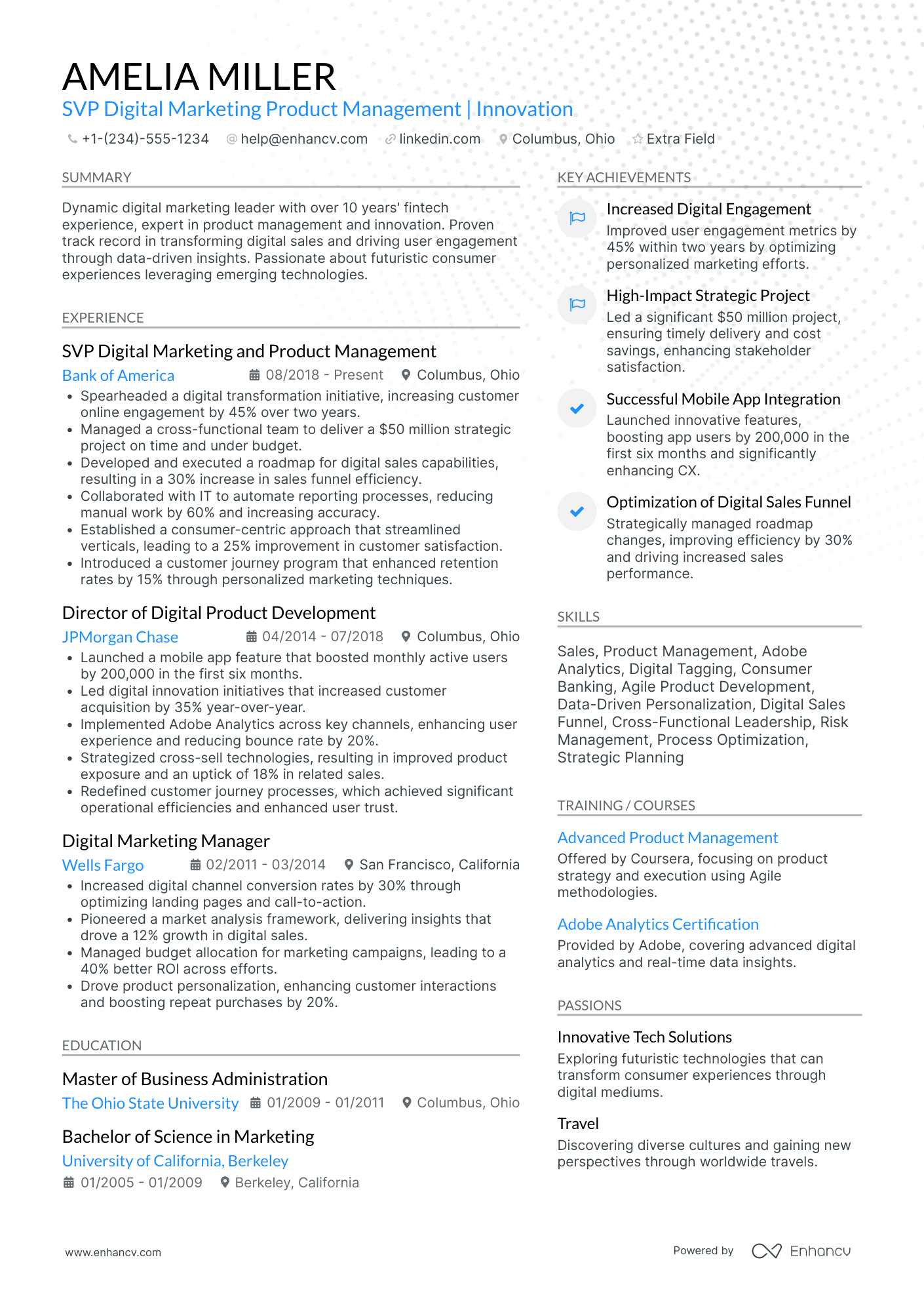 VP Digital Marketing and Social Media Resume Example