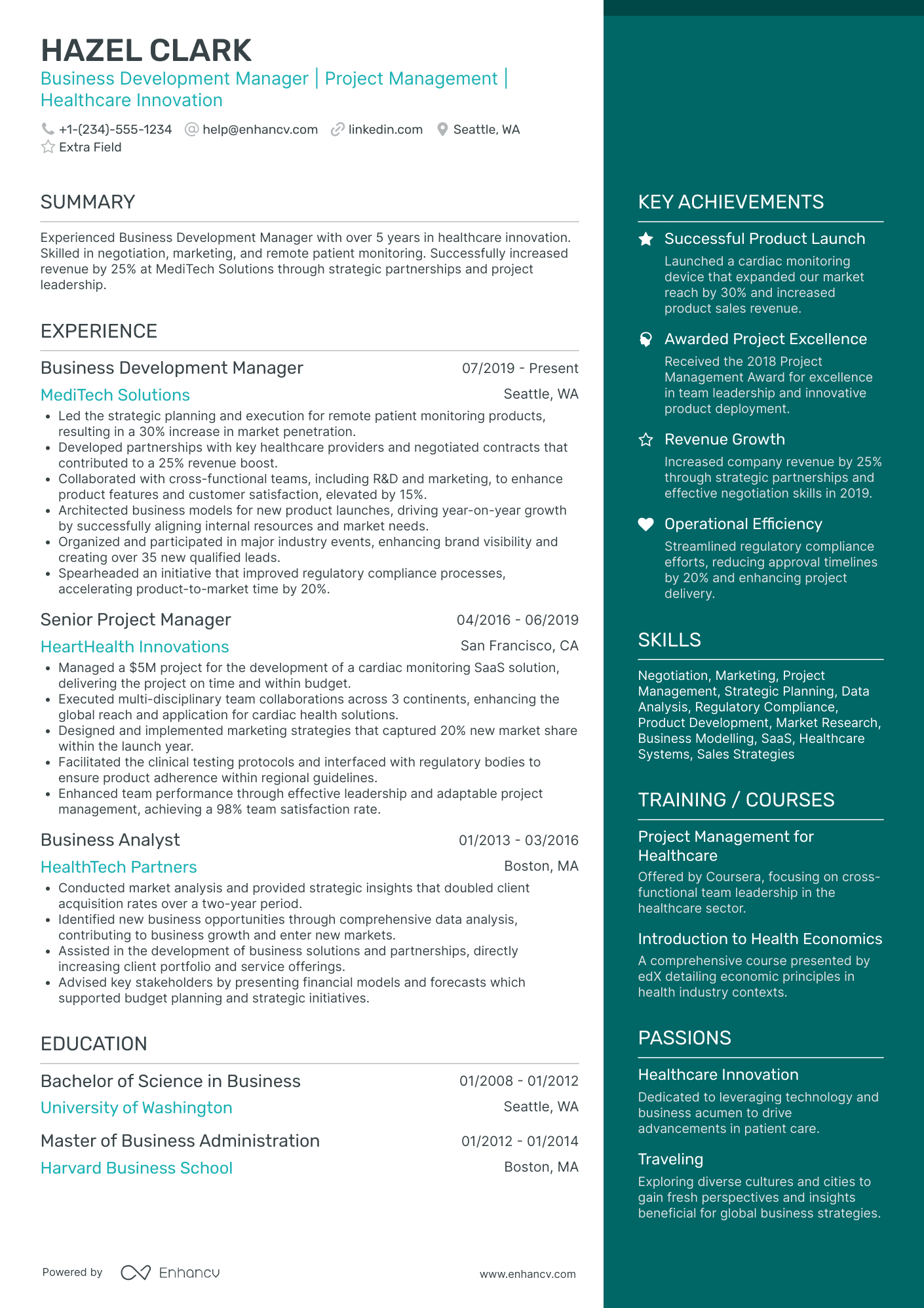 Business Development Project Manager Resume Example