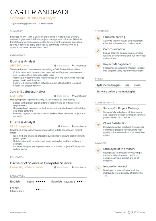 Software Business Analyst Resume Example