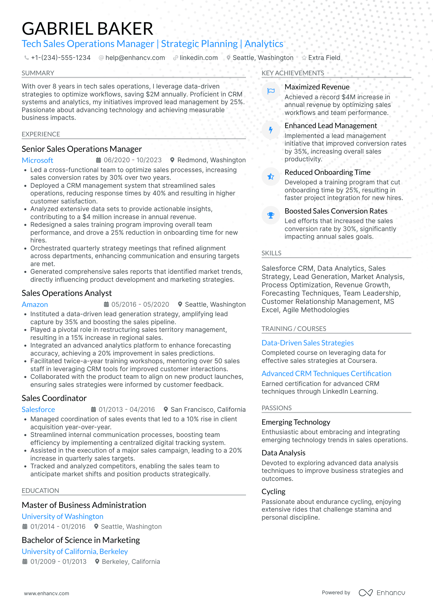 Tech Sales Operations Manager Resume Example