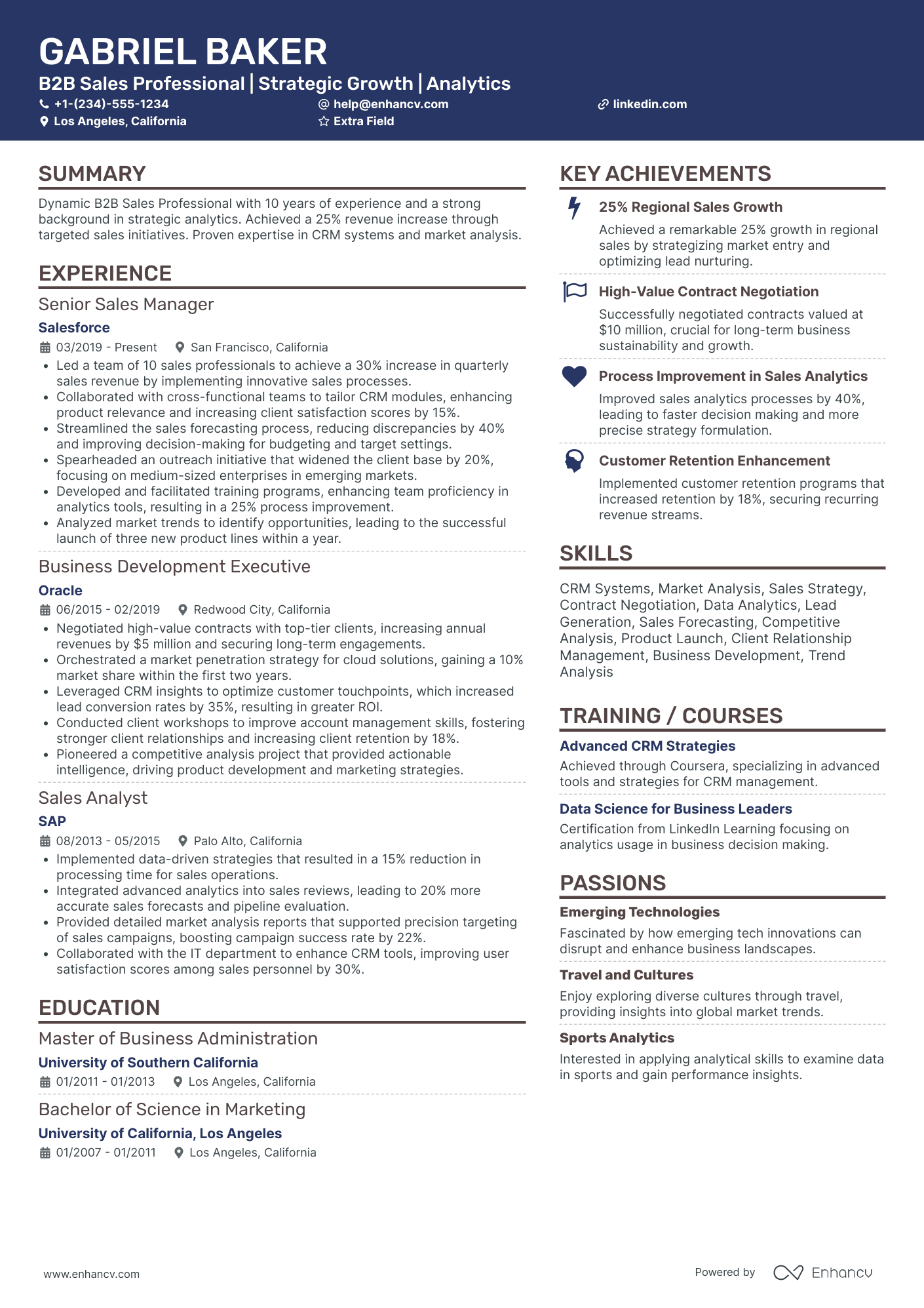 B2B Sales Professional Resume Example