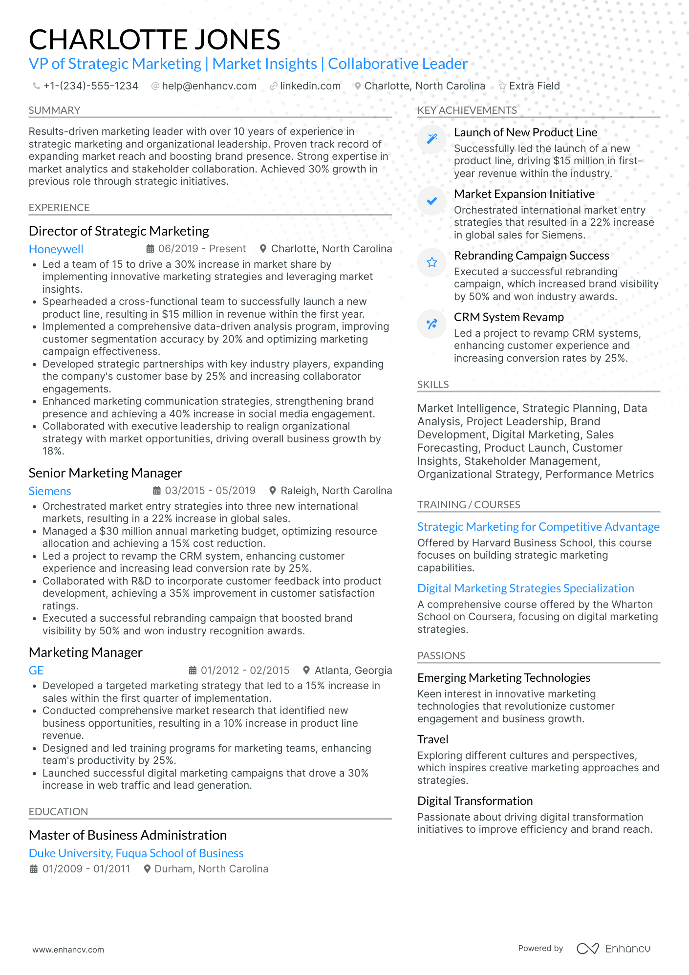 VP Digital Marketing Strategy Resume Example