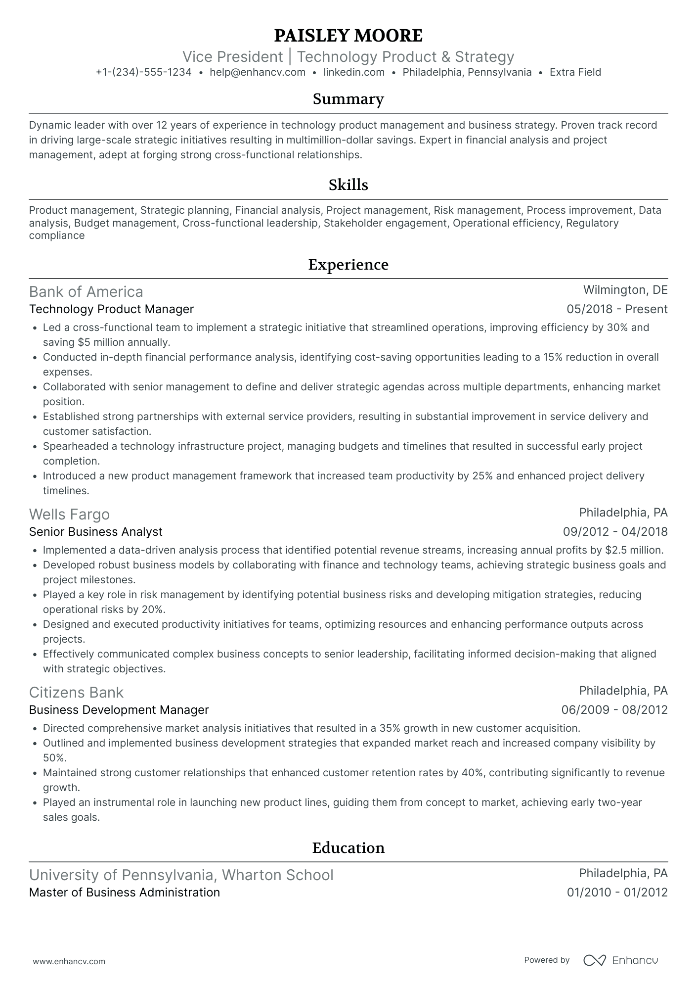 Vice President of Information Technology Resume Example