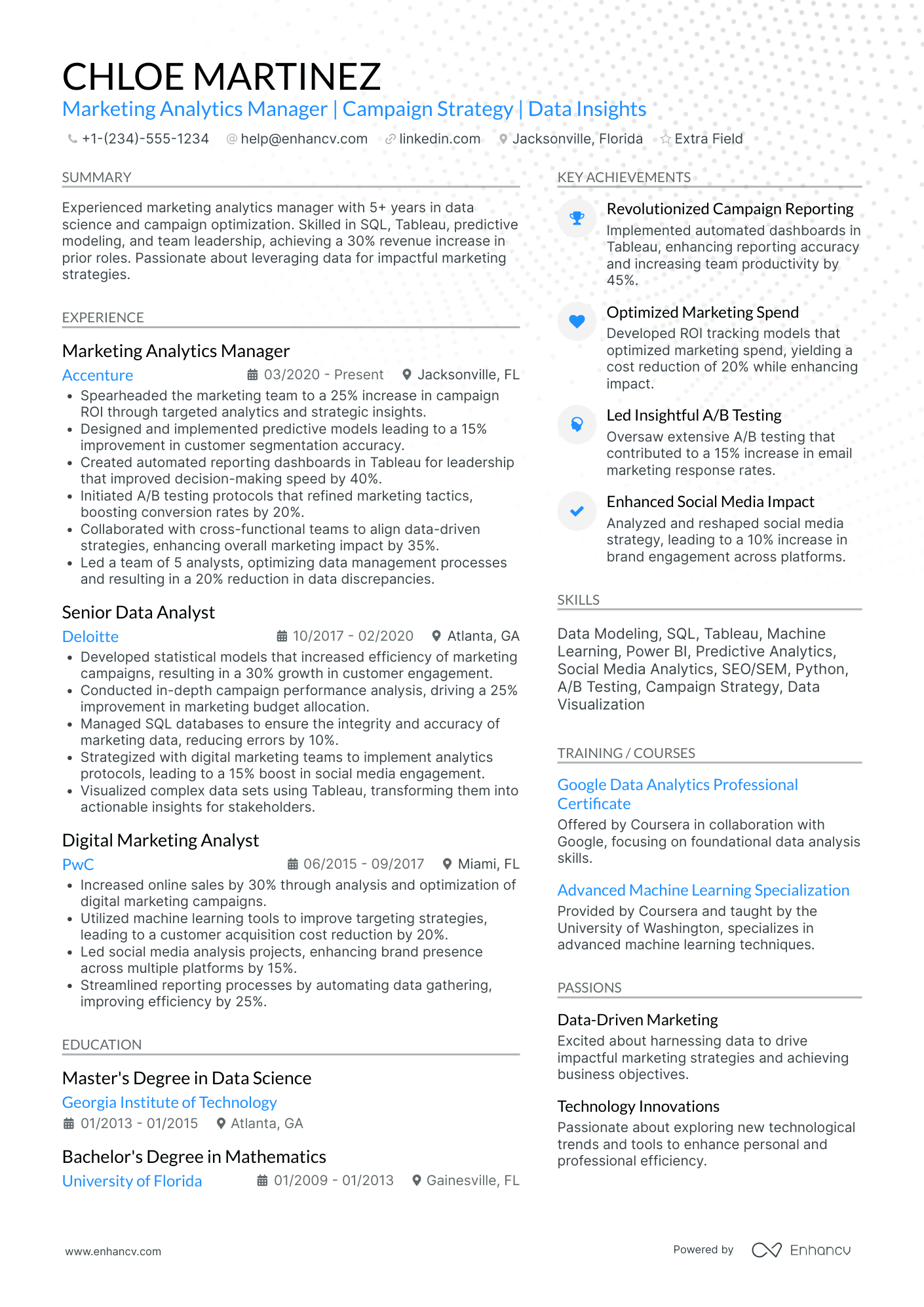 SEO Analytics Manager Resume Example