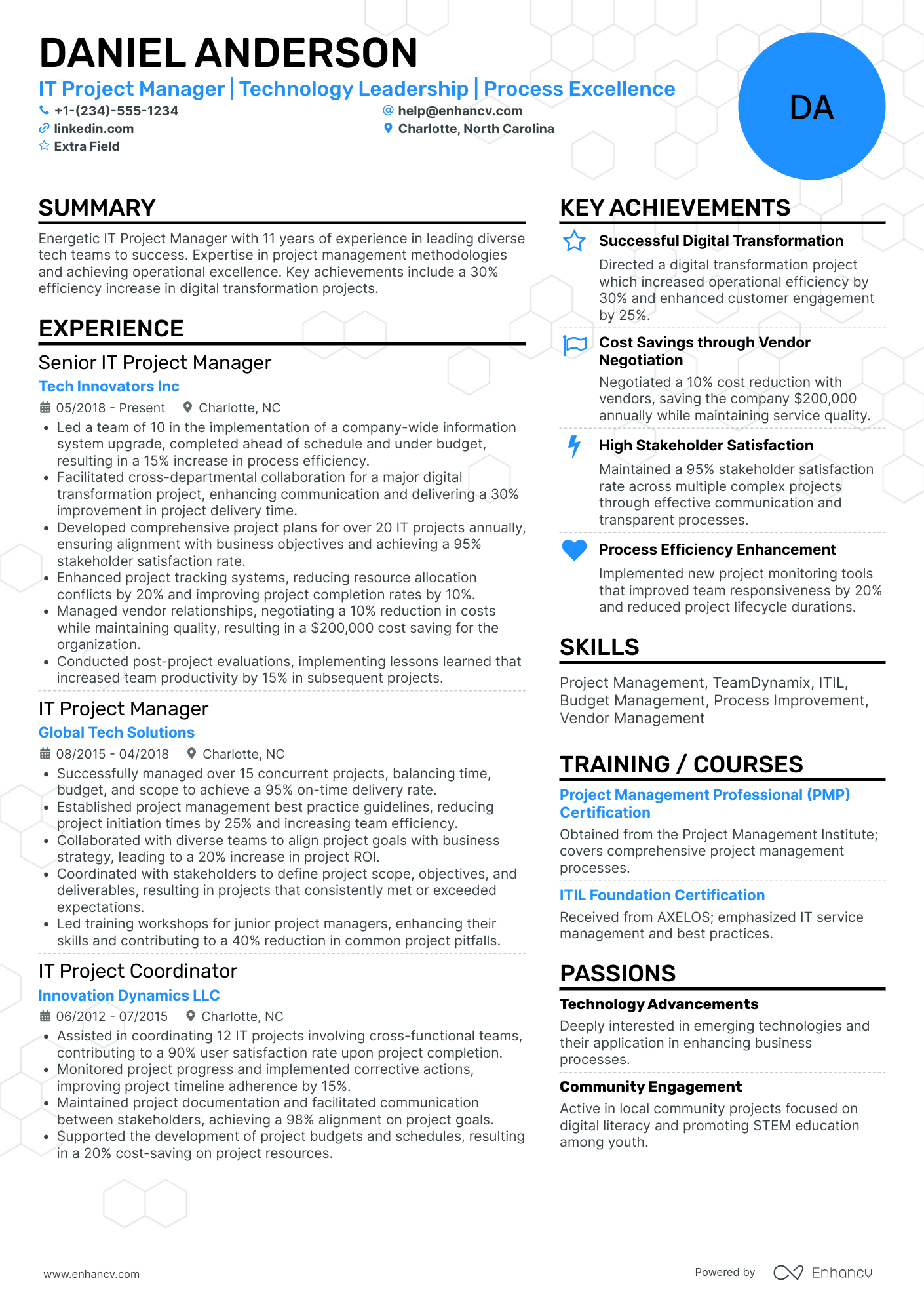 Assistant IT Project Manager Resume Example