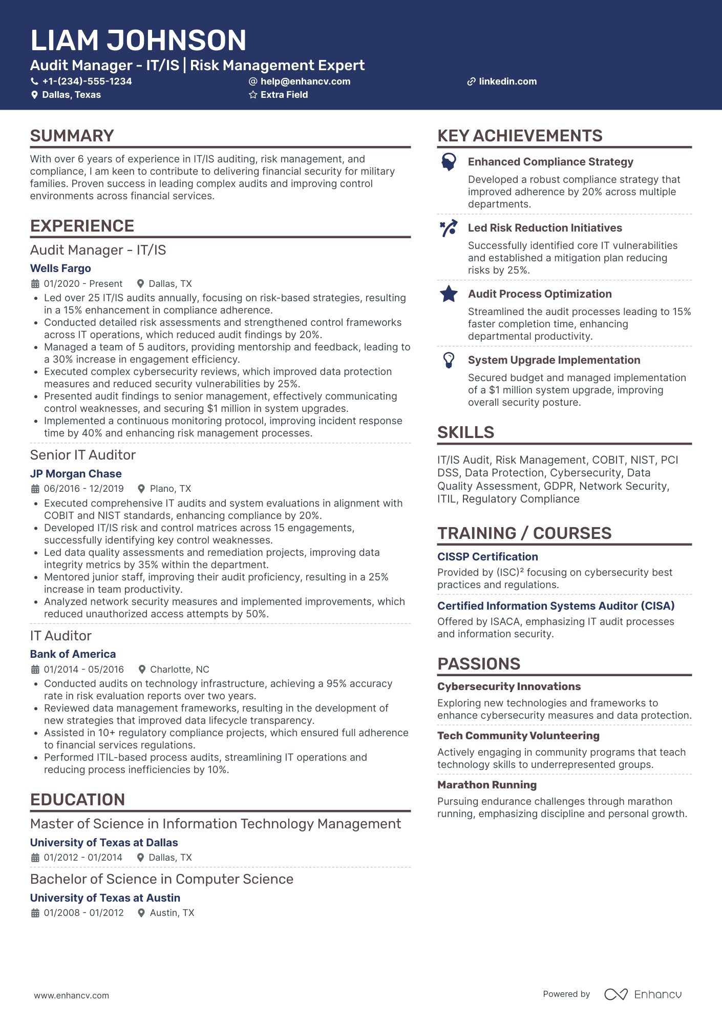 IT Audit Partner Resume Example