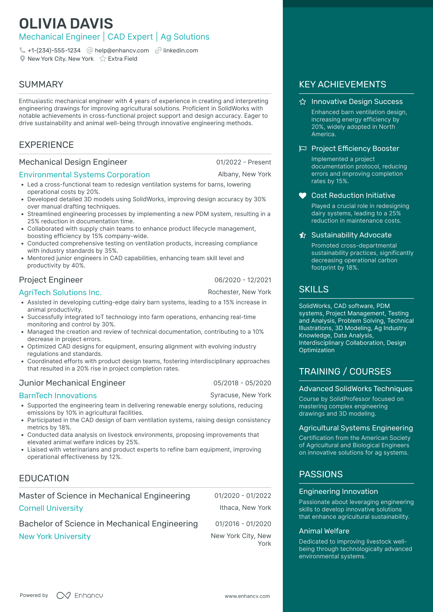 Summer Engineering Student Intern Resume Example