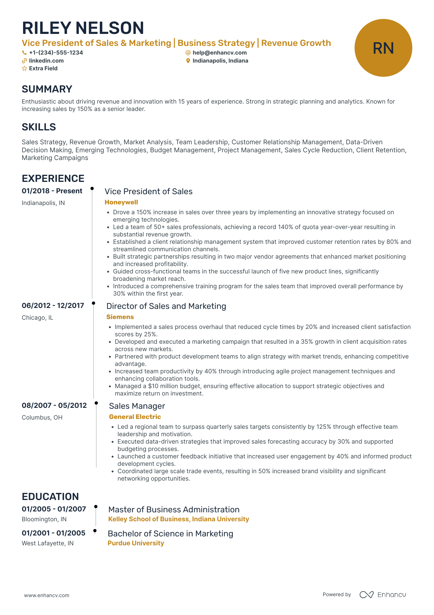 Executive Vice President of Sales Resume Example