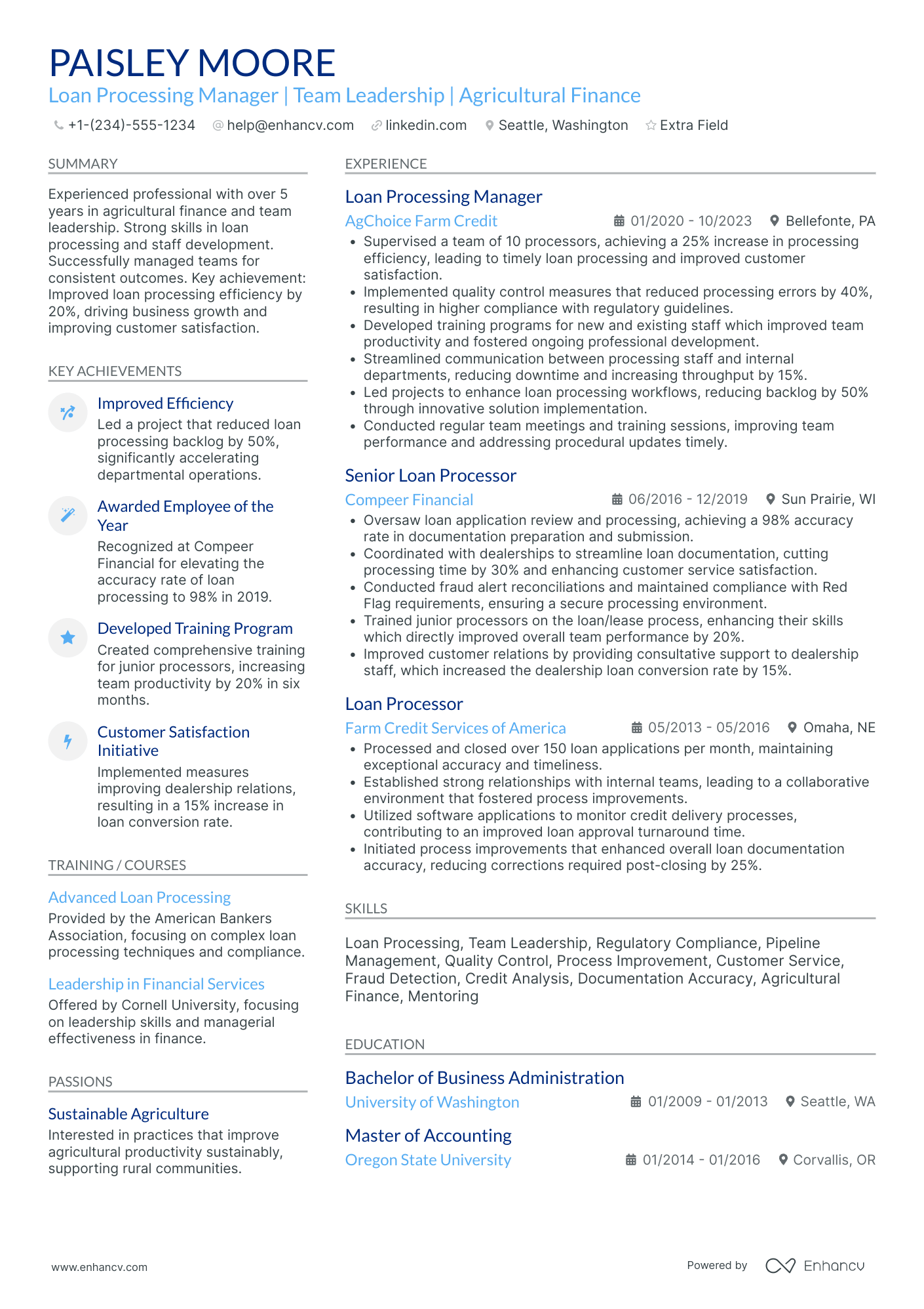 Loan Processor Team Lead Resume Example