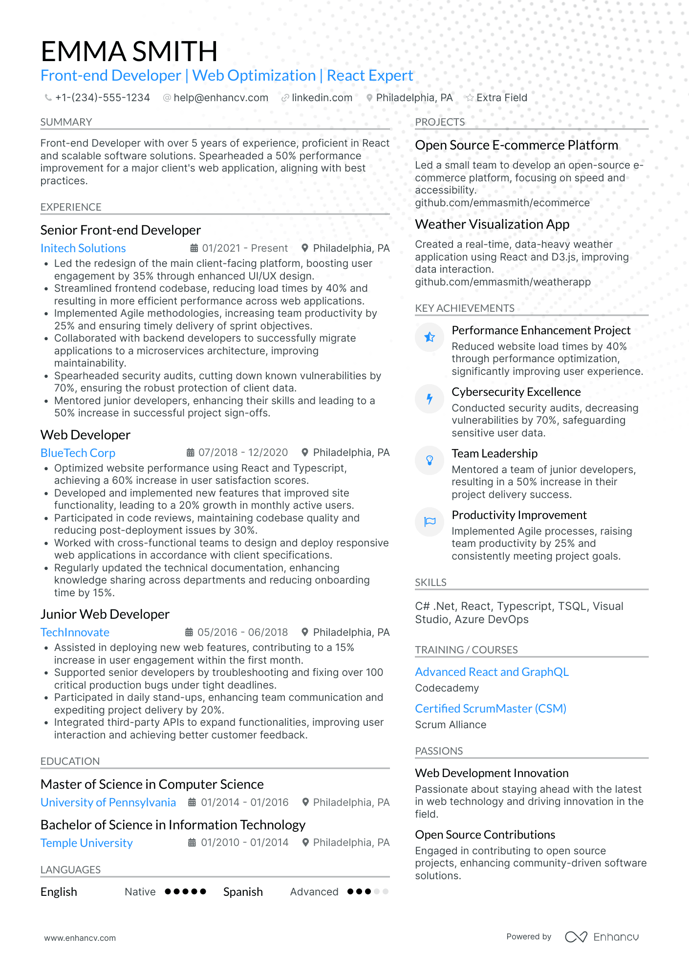 Front End Systems Developer Resume Example