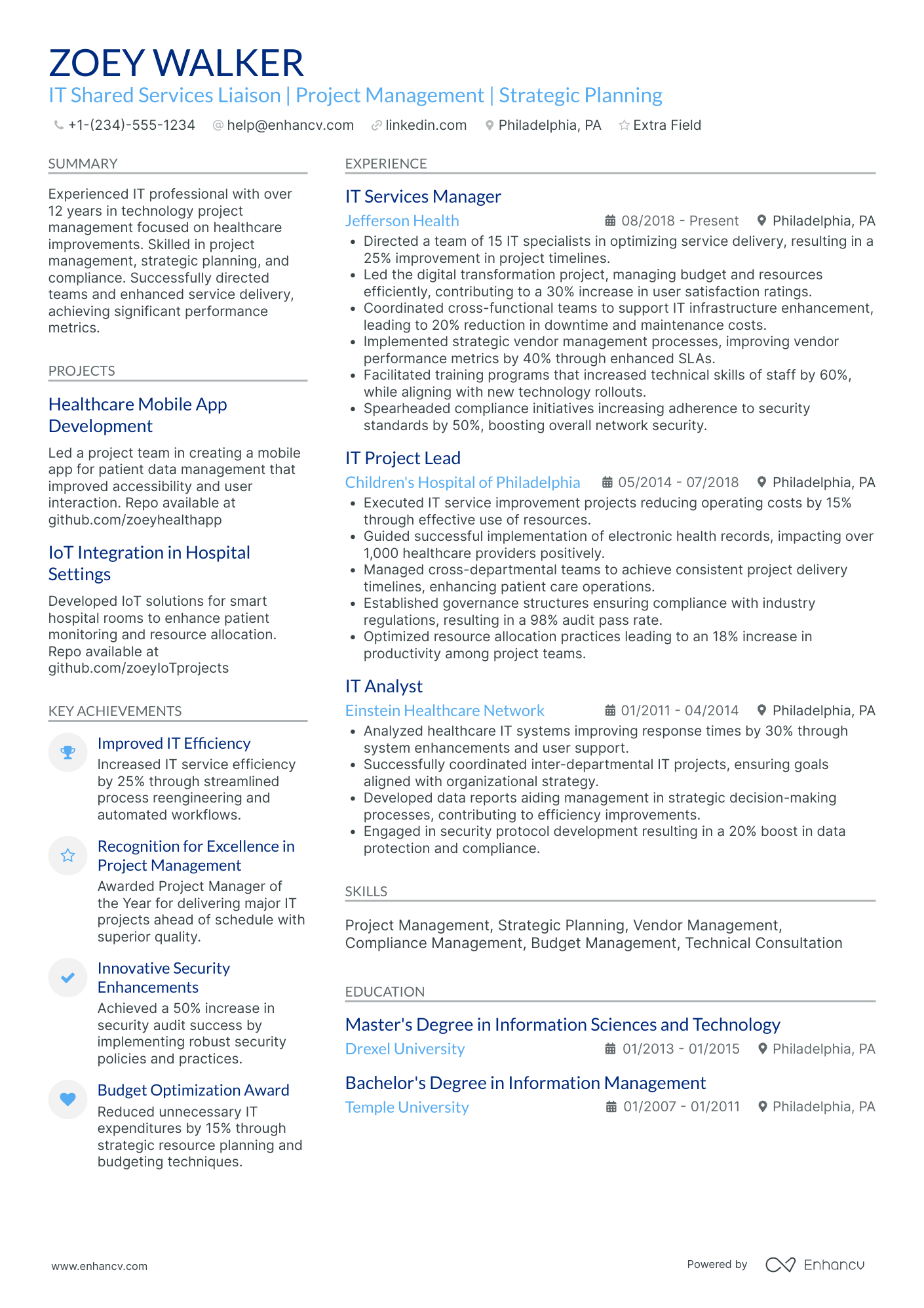 IT Relationship Manager Resume Example