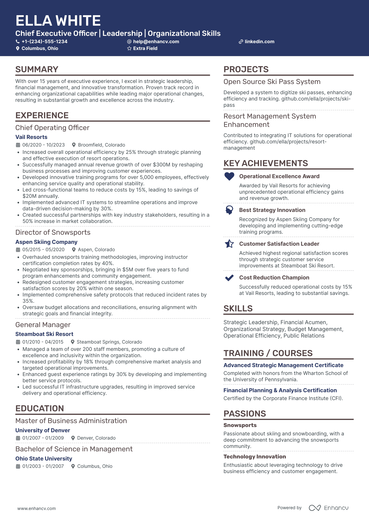 Silicon Valley Tech Startup CEO Resume Example